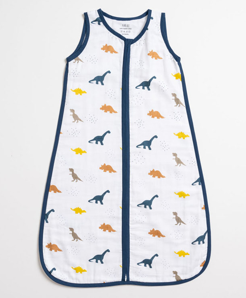 Aariro Organic Cotton Sleep bag Little Dino  0-6m-image-7