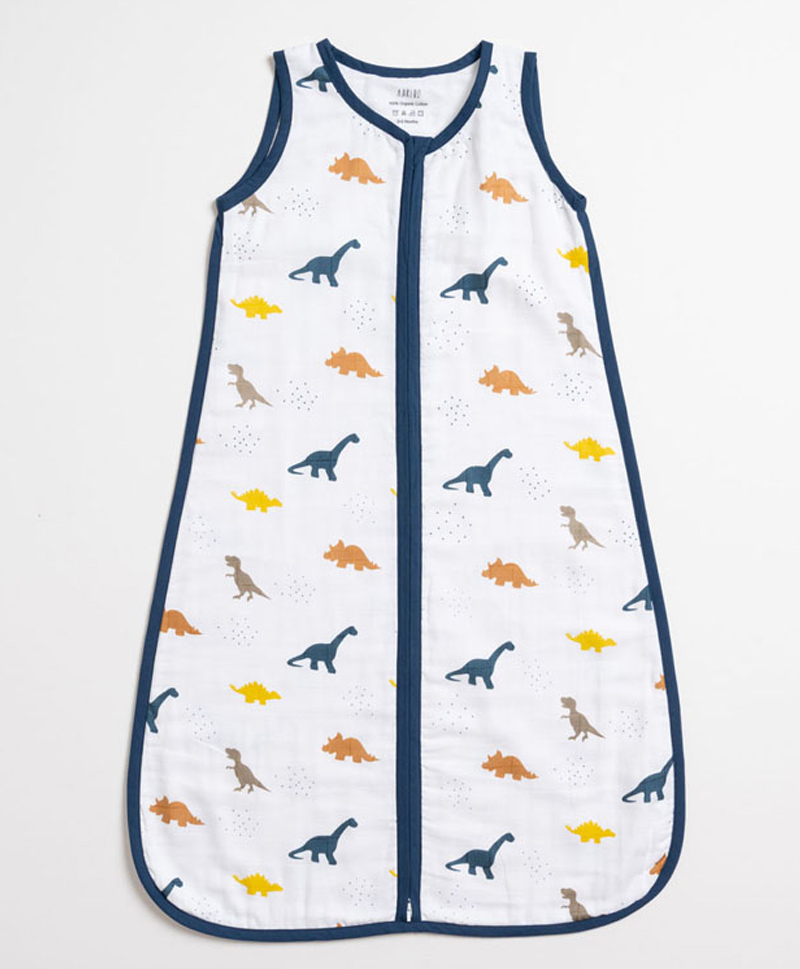 Aariro Organic Cotton Sleep bag Little Dino  6-12m-image-18