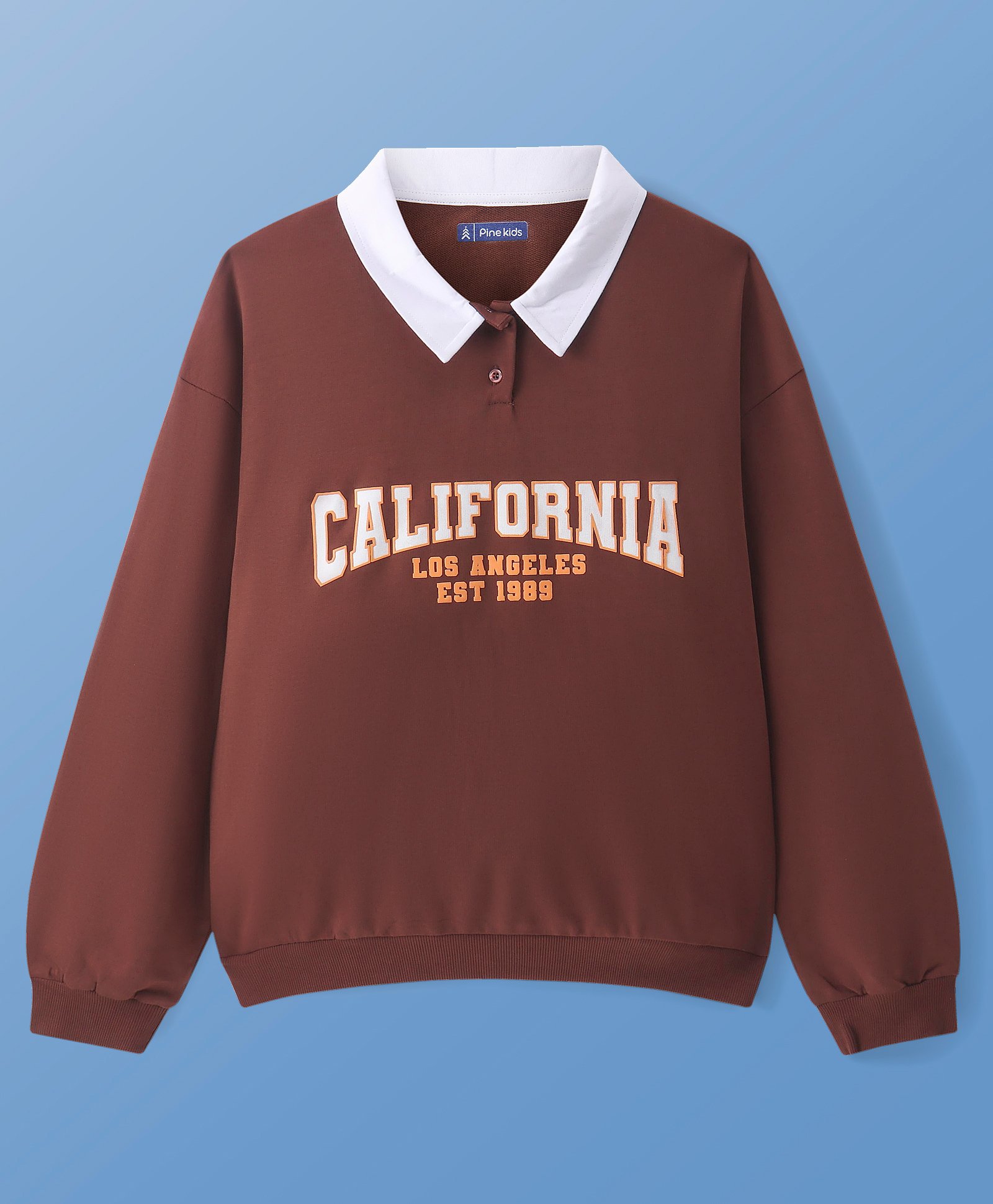 Pine Kids Cotton Knit Full Sleeves Drop Shoulder Sweatshirt with Collar Neck & Text Print - Brown-picture-22