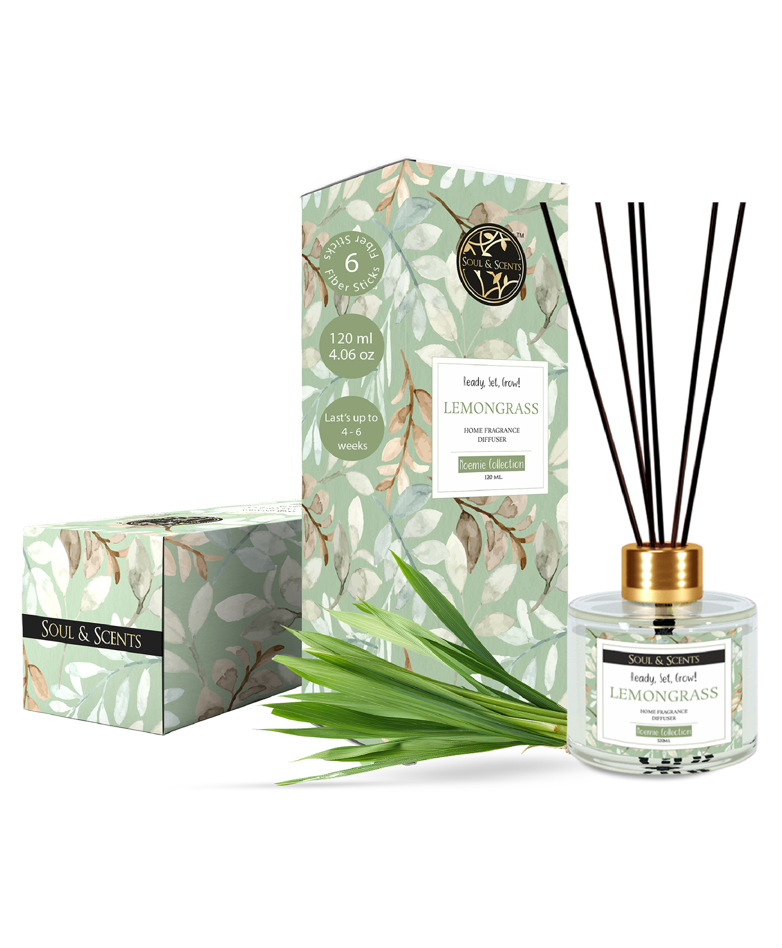 Soul & Scents Lemongrass Fragrance 120 ml Reed Diffuser Set with 6 Sticks-picture-35