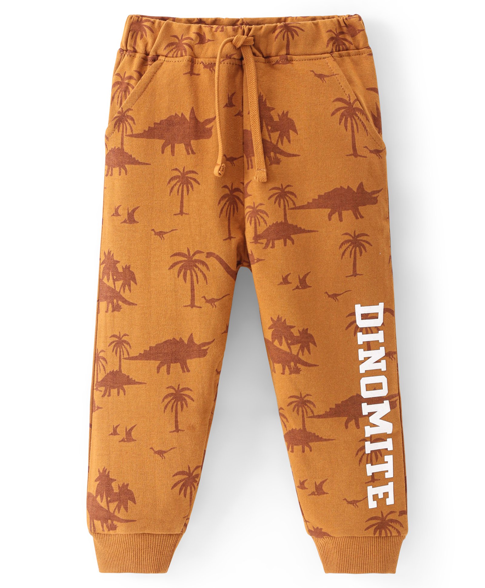 Babyhug Cotton Terry Full Length  Lounge Pant with Dino & Text print - Rust-image-33