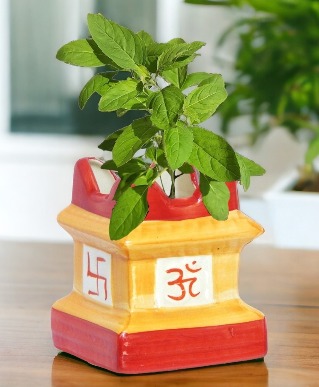 Ecofynd Tulsi Ceramic Plant Pots with Drainage Hole - Pack of 1-picture-15