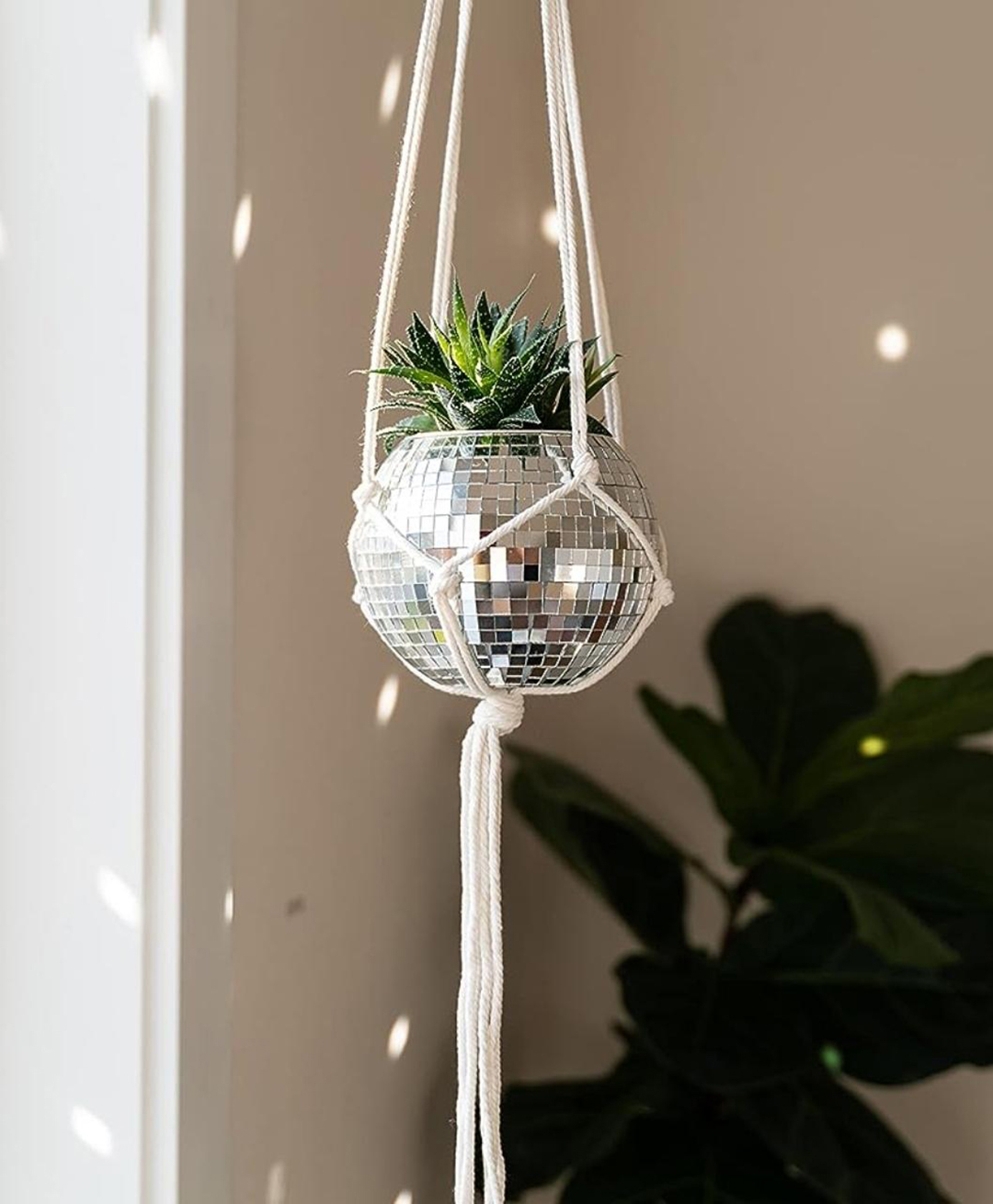 Ecofynd White  Hanging Disco Ball Glass Planter with Flat Base  Cotton Macrame Plant Hanger-image-48