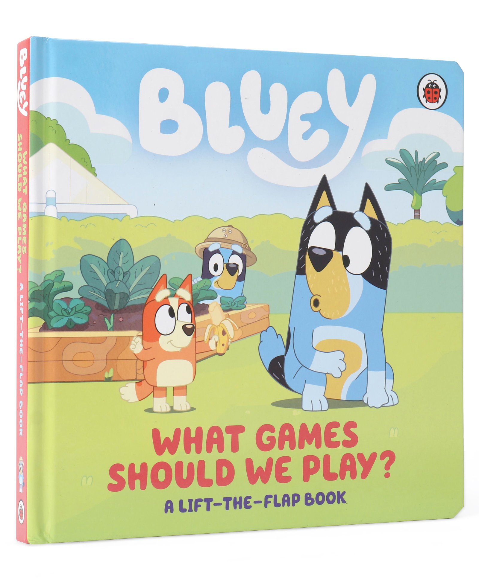 What Games Should We Play By Bluey- English-image-37