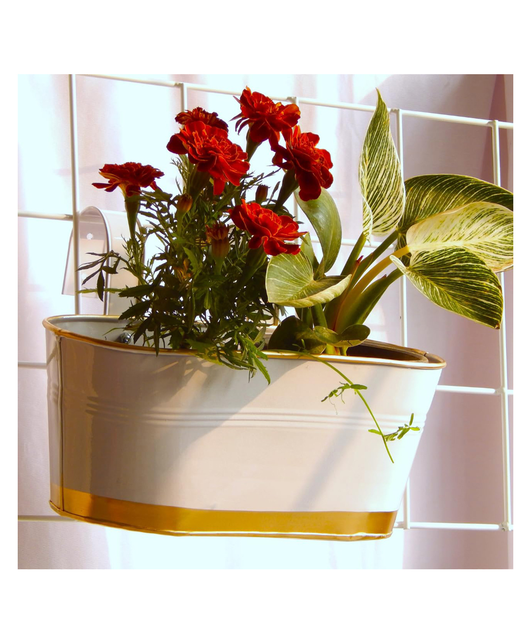 Ecofynd Oval Aurelia Hanging Plant Pots