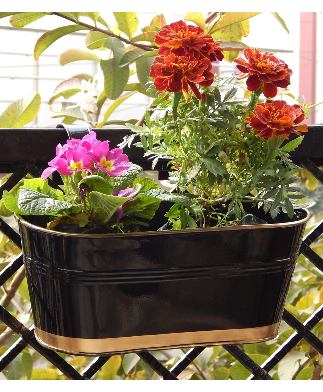Ecofynd Oval Aurelia Hanging Plant Pots-picture-19