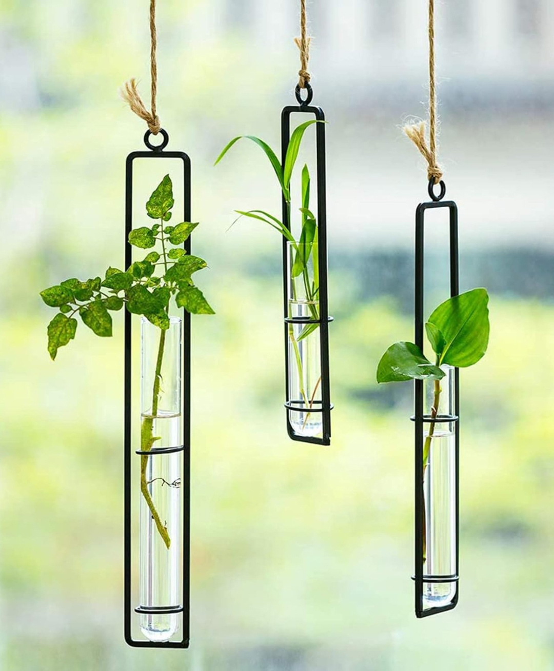 Ecofynd Metal Wall Hanging Test Tube Planter-image-6