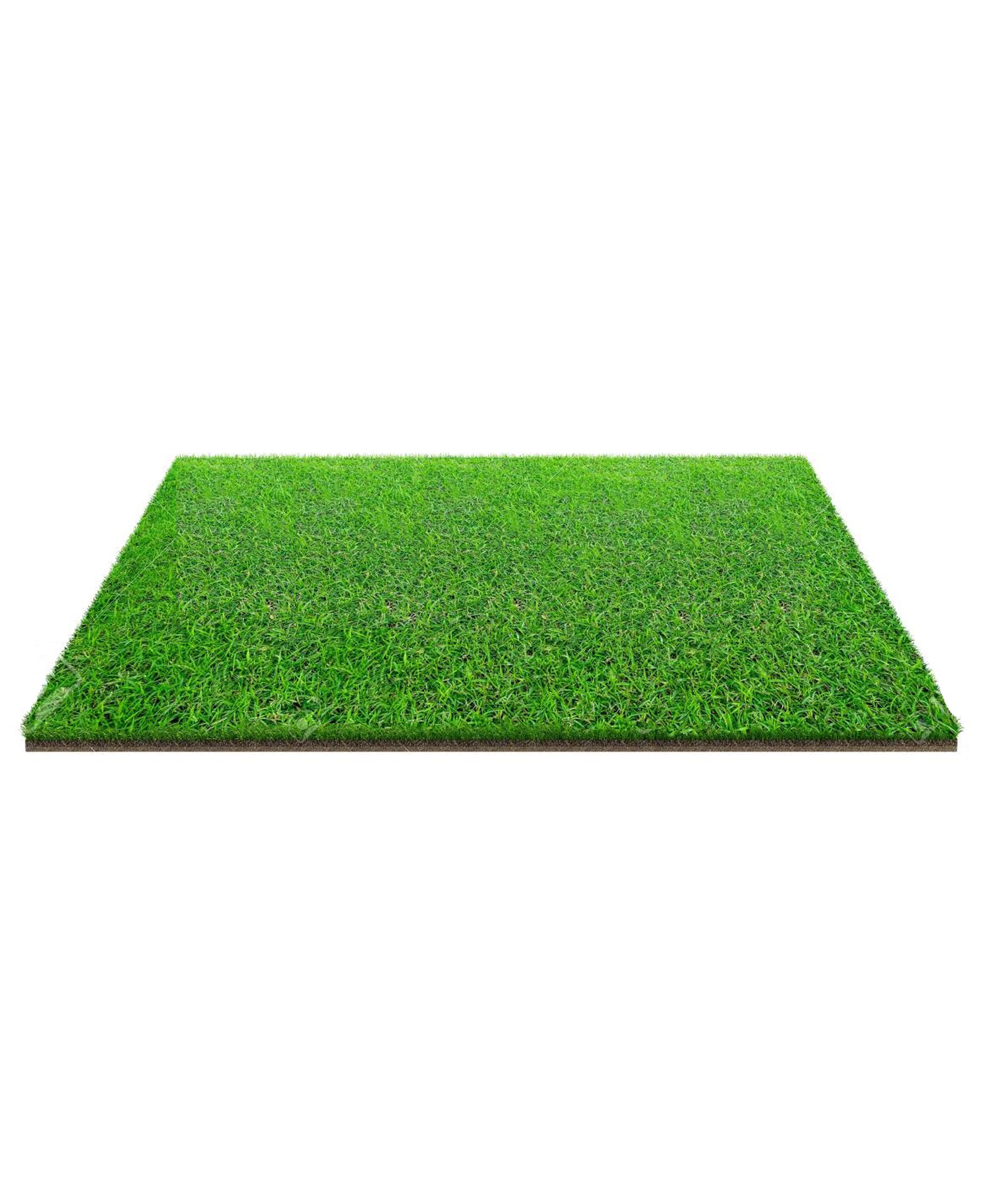 INPOUT 25MM High Density Artificial Grass Carpet For Balcony/Lawn/Door(L 60 x B 40 cm)-image-5