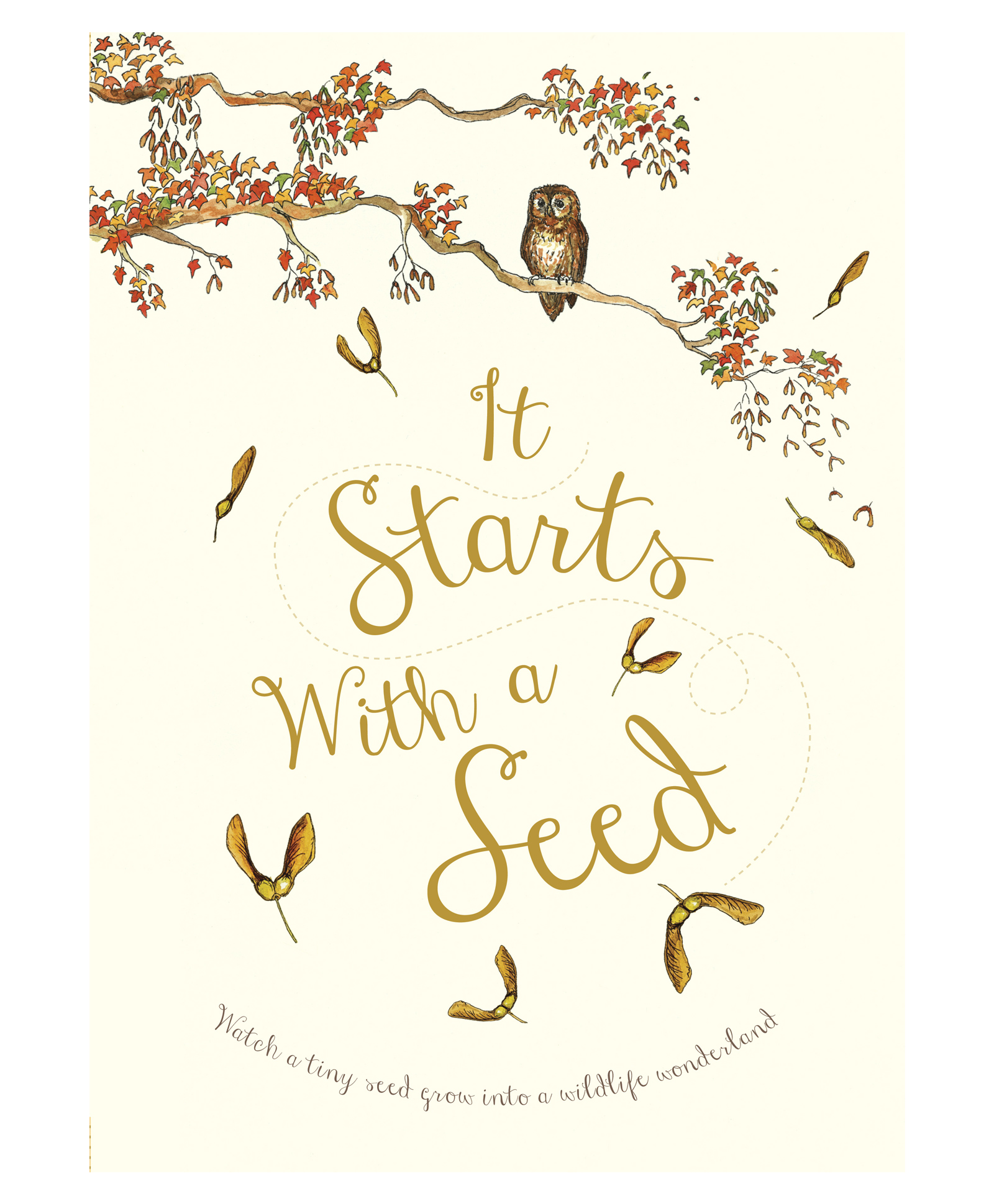 It Starts With A Seed Knowledge Book by Knowles Laura-English-image-43