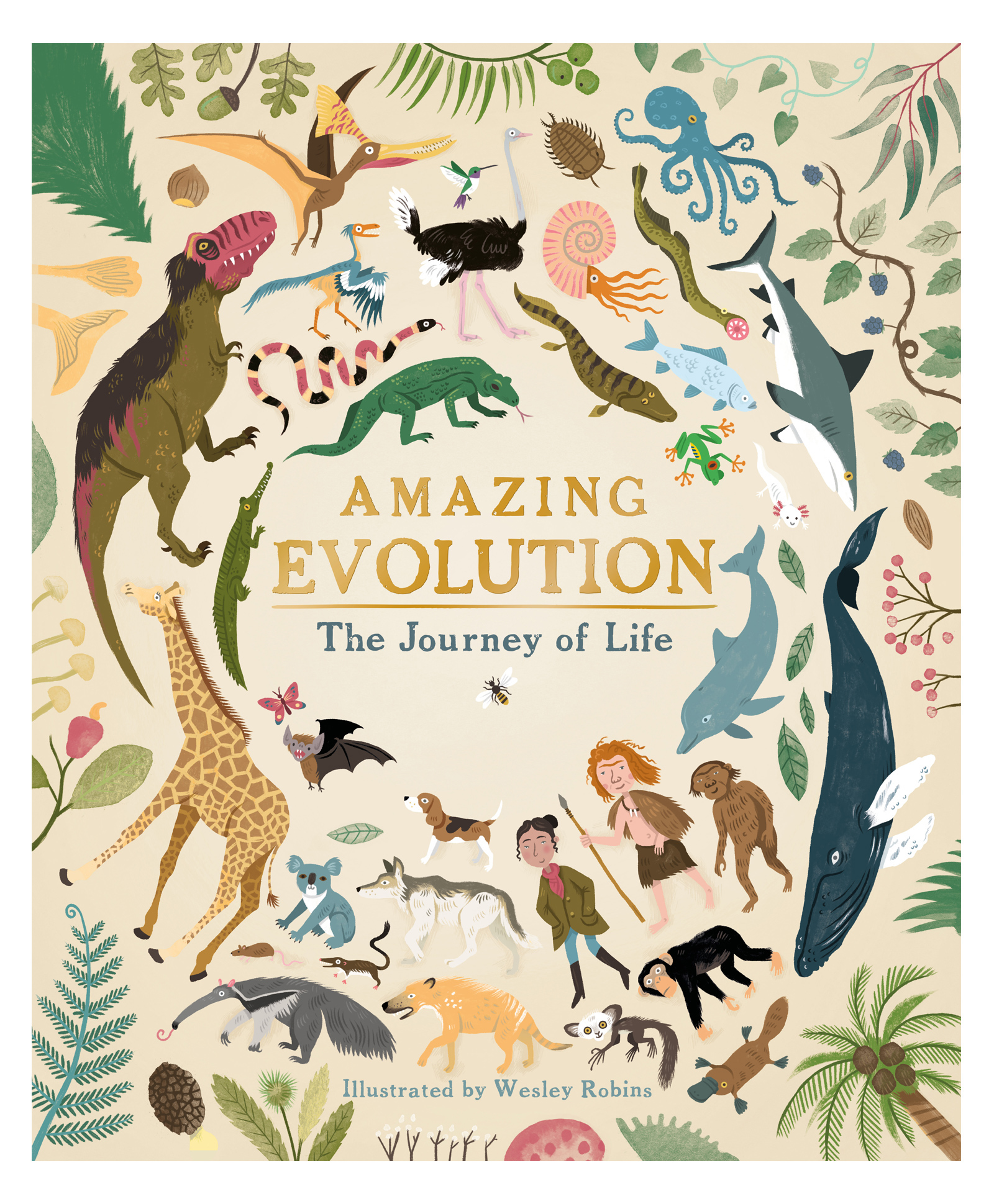Amazing Evolution: The Journey of Life Book by Anna Claybourne - English-image-32
