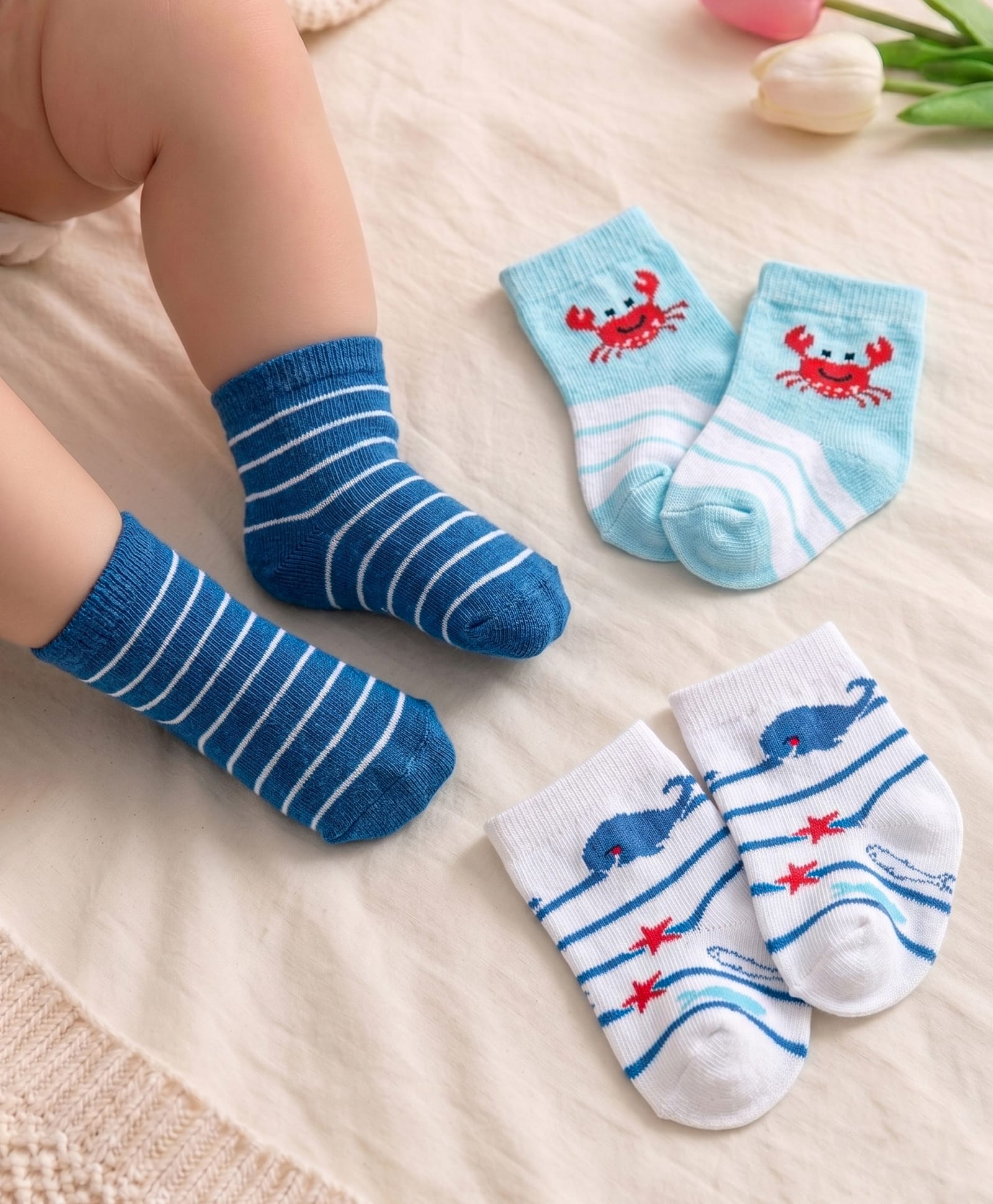 Cute Walk by Babyhug Knit Anti-Bacterial Ankle Length Socks with Striped Crab & Whale Design Pack of 3 - White & Blue-image-34