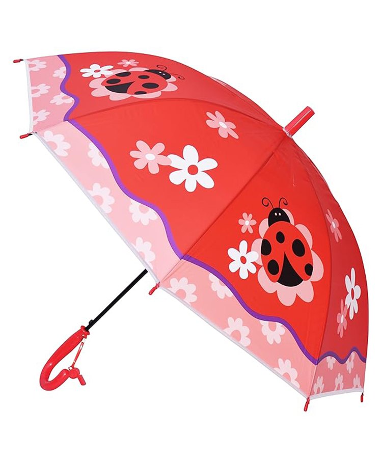 CHAATEWALA Ladybug & Floral Detailed Umbrella - Red-image-42