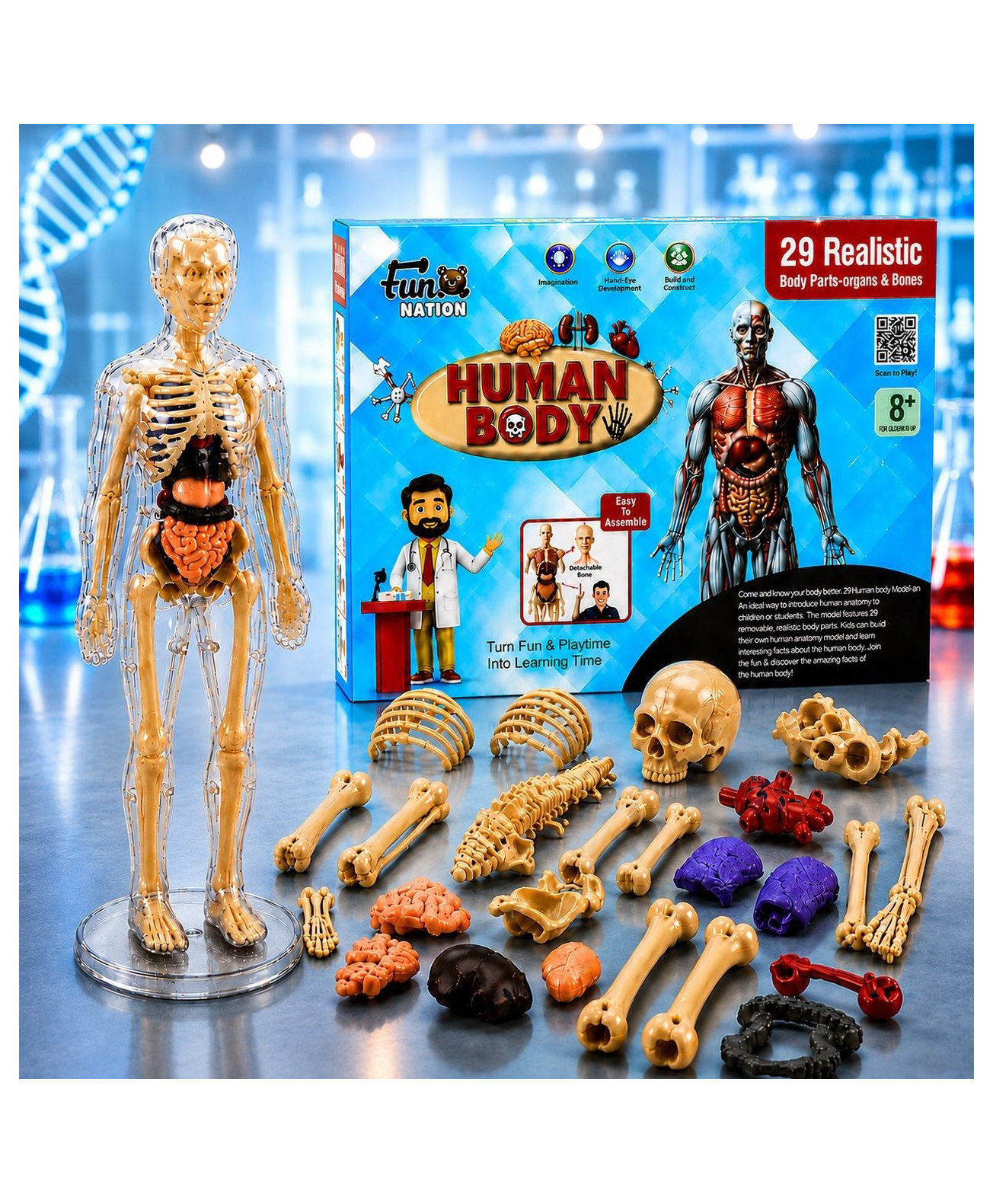 NHR Toys Human Body Model for Kids | 3D Human Body Parts Puzzles-image-24