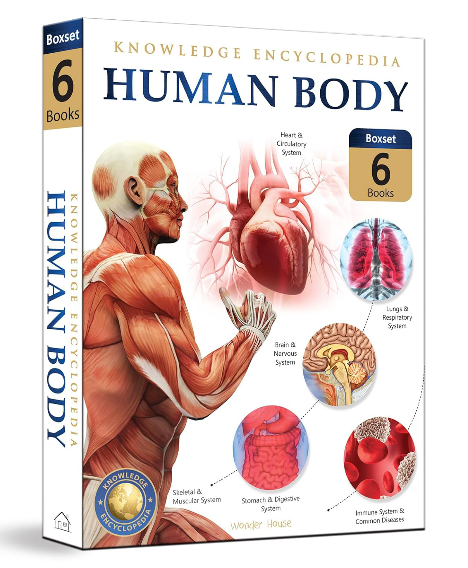 wonder house books Human Body Box Set-picture-15