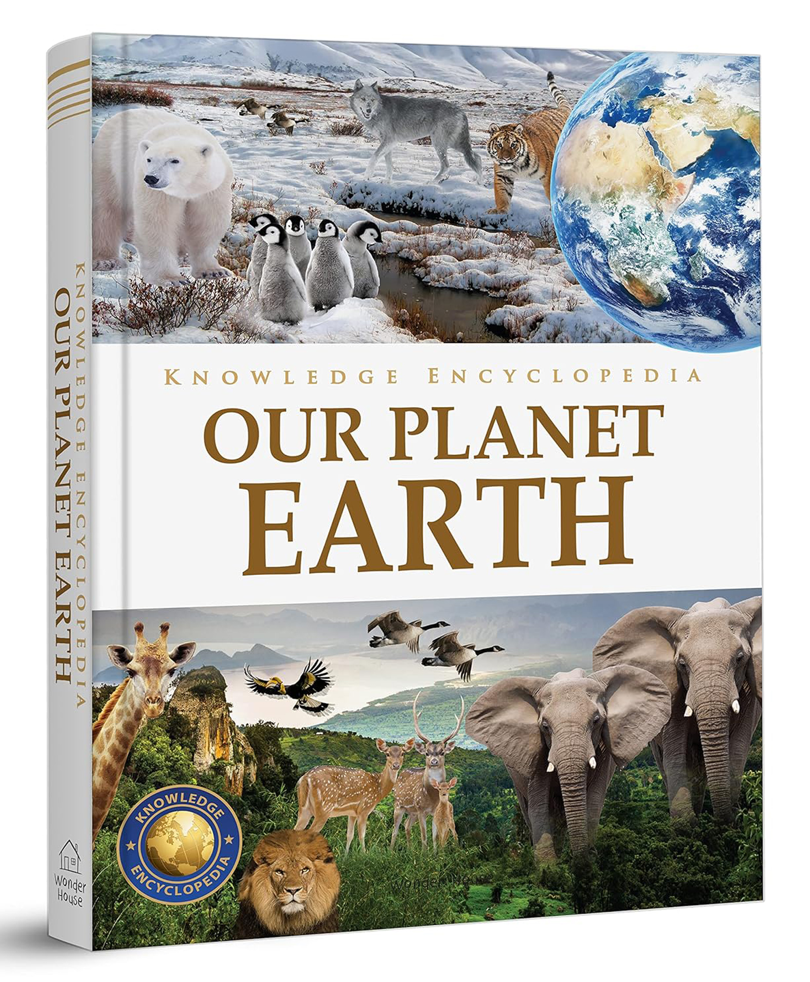 wonder house books Knowledge Encyclopedia Our Planet Earth-picture-18