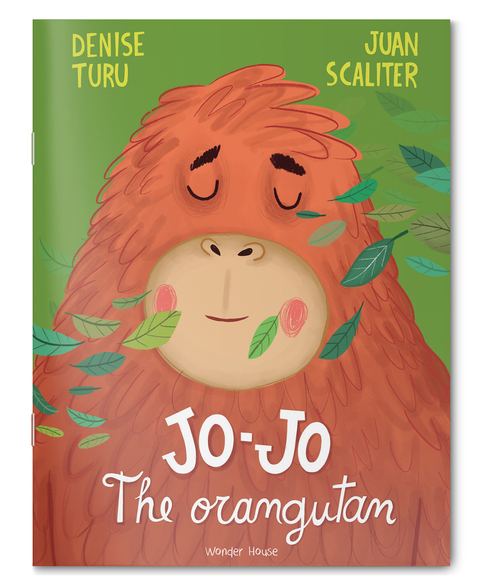 Jo-Jo The Orangutan Illustrated Picture Book For Children-image-49