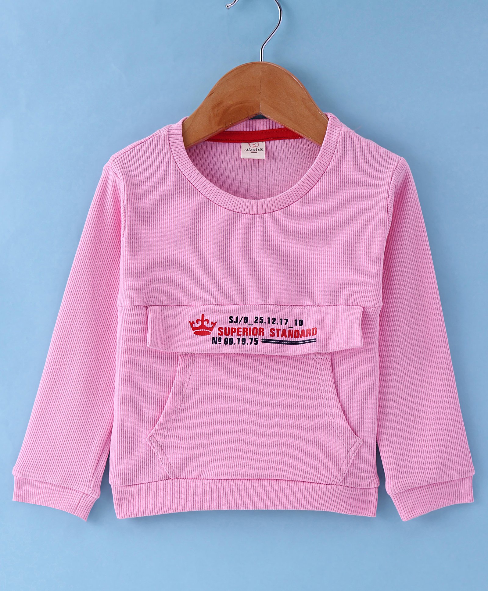 Olio Kids Cotton Knit Full Sleeves Winter T-Shirt with Text Print & Kangaroo Pocket -Pink-picture-34