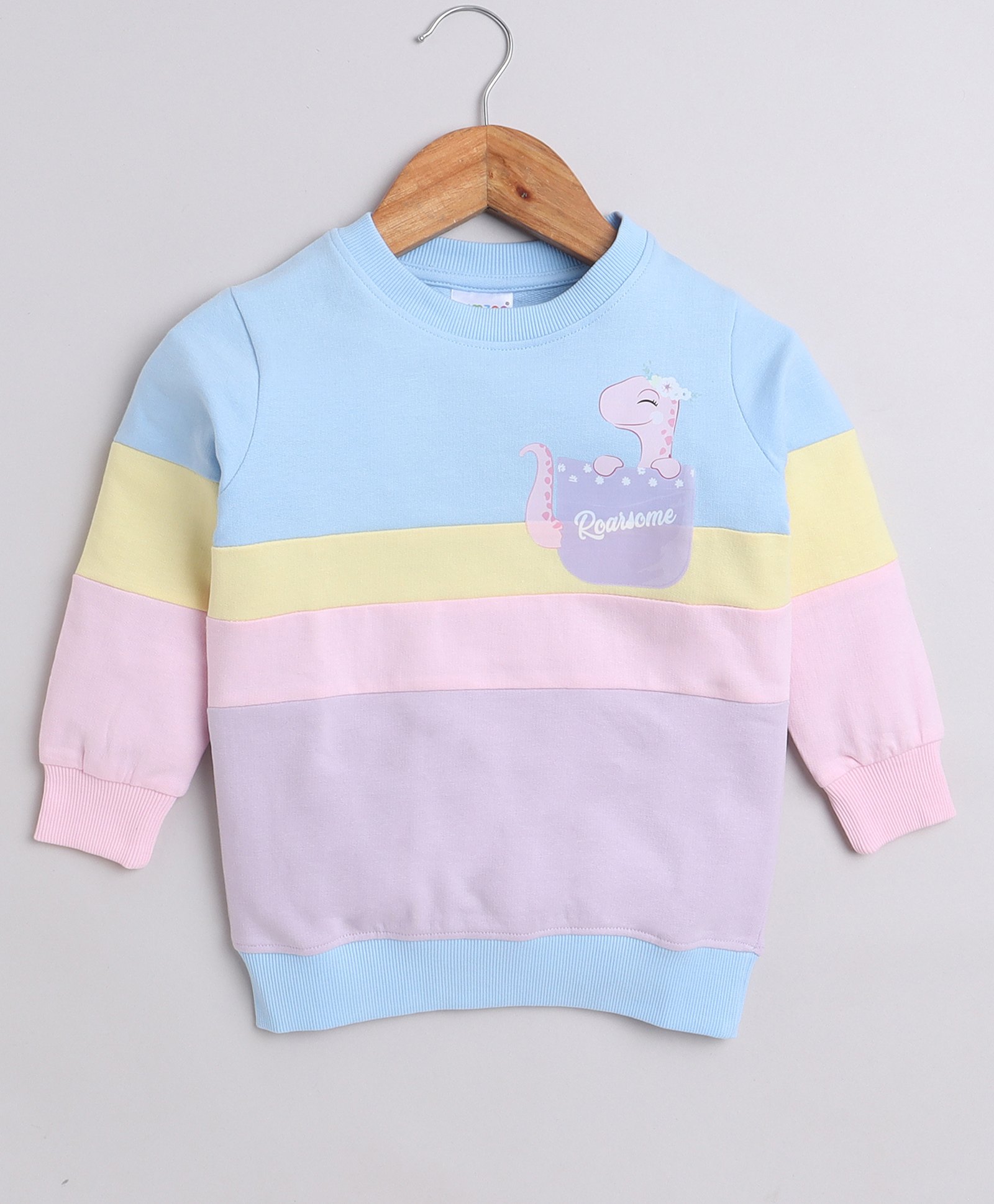 BUMZEE Cotton Looper Full Sleeves Dinosaur Printed Sweatshirt - Multi-picture-11