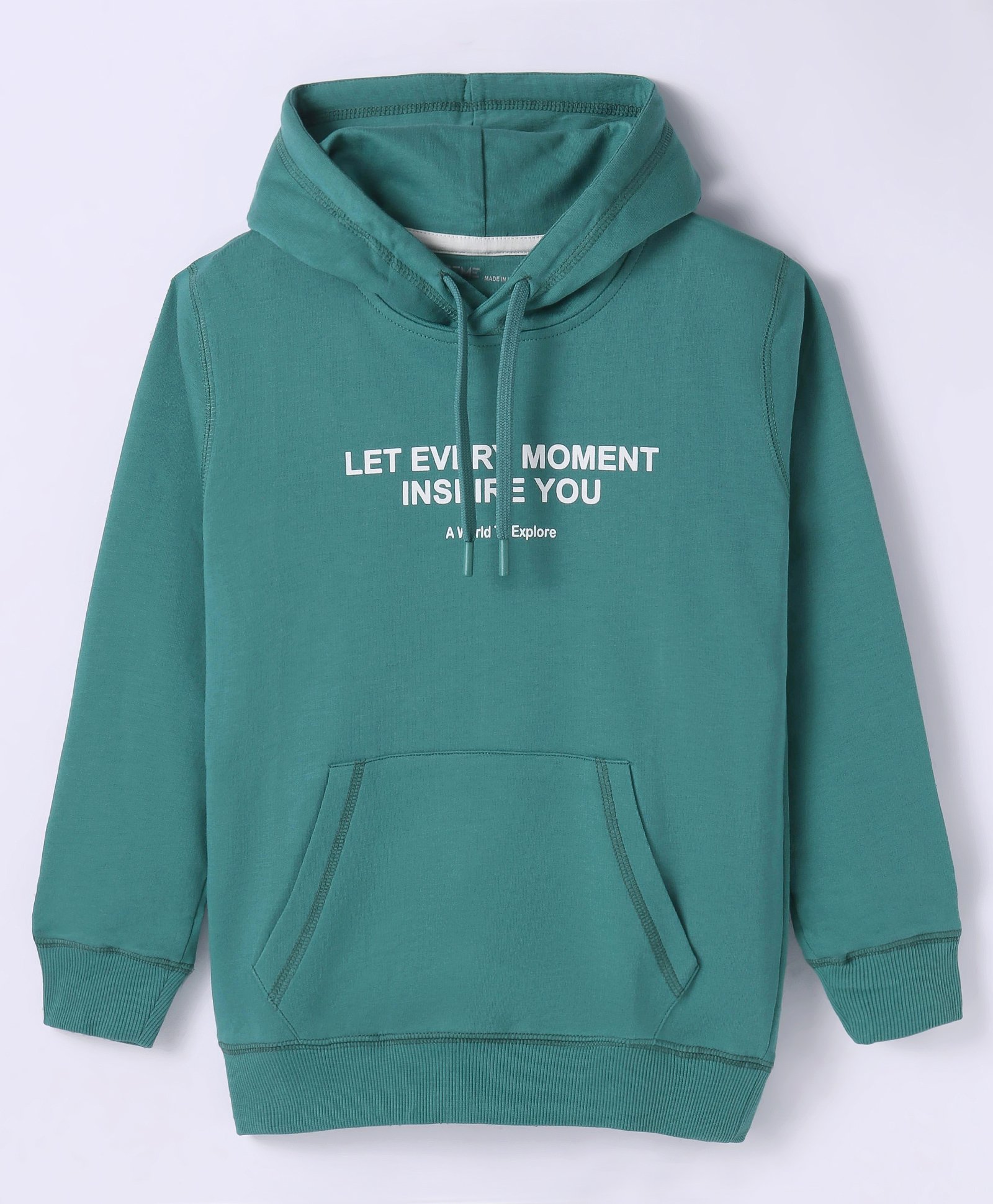 Doreme Terry Knitted Full Sleeves Hooded Sweatshirt With Text Print & Kangaroo Pockets - Mint Green-picture-13