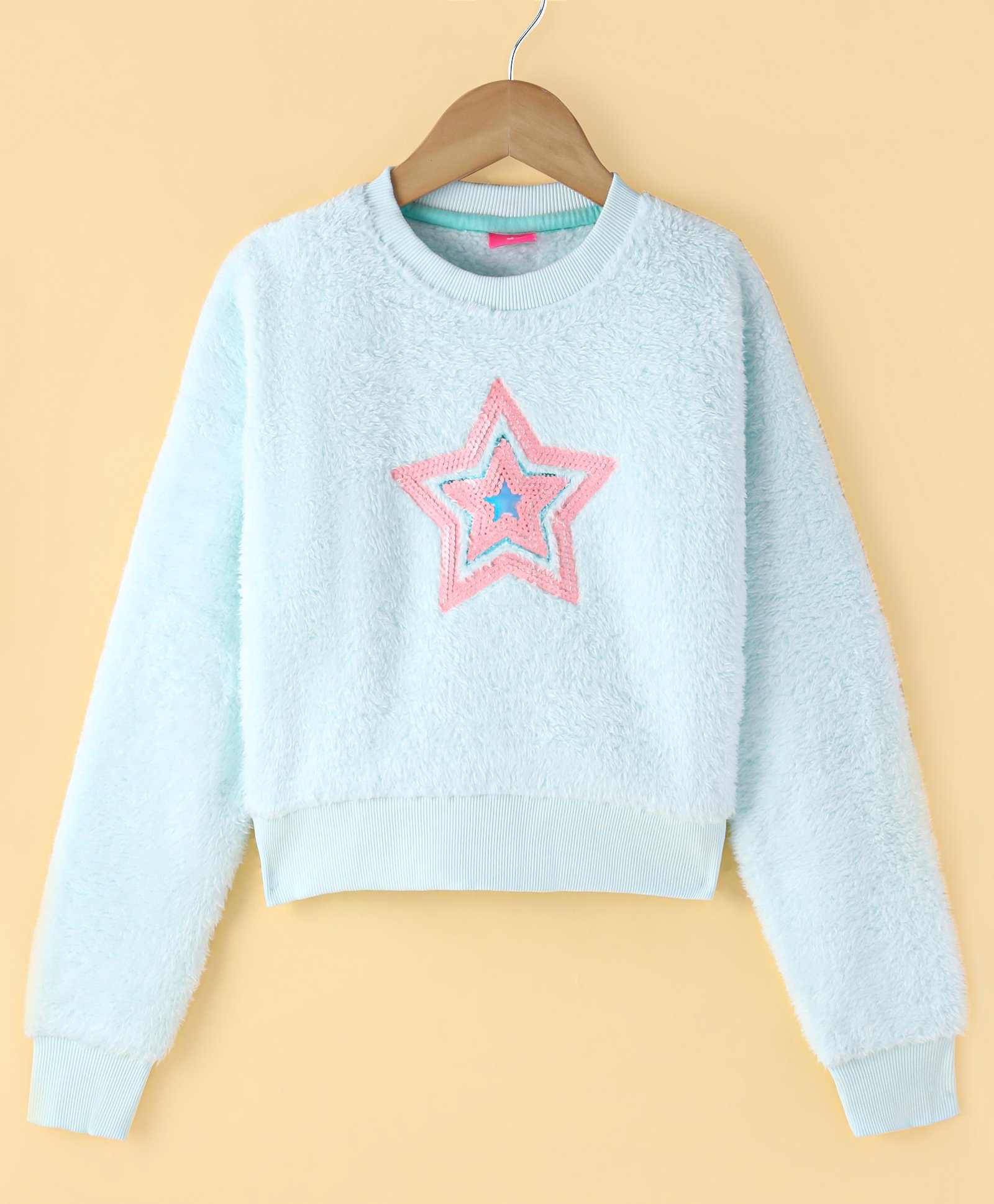 Wingsfield Full Sleeves Sequin Star Embellished  Textured Sweatshirt - Sky Blue-image-42