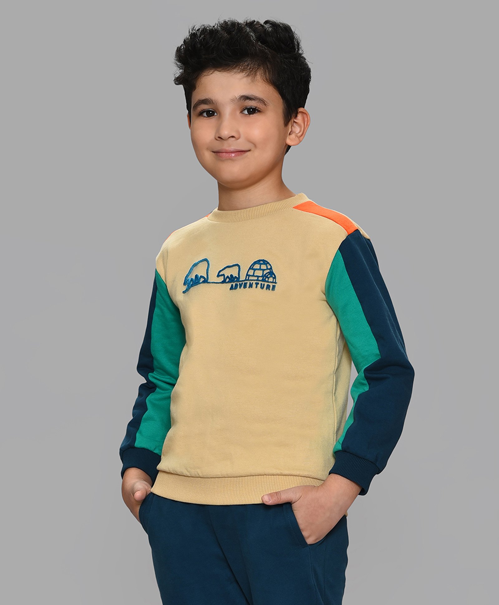 Mi Arcus  100% Cotton Full Sleeves Color Blocked & Tuft Embroidered Sweatshirt - Multi Color-picture-10