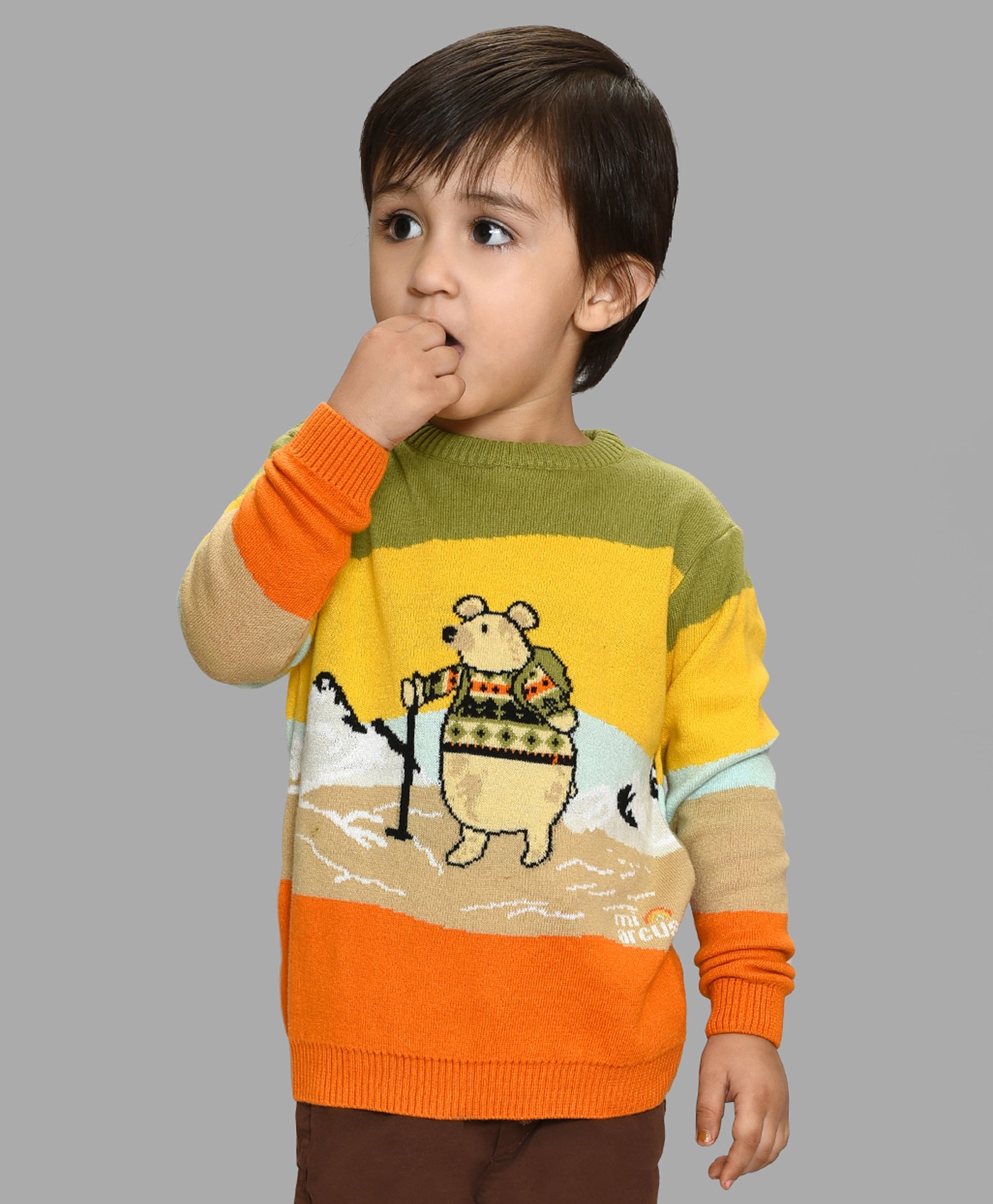 Mi Arcus 100% Cotton Animal Designed Knitted Sweater - Multi Color-image-27
