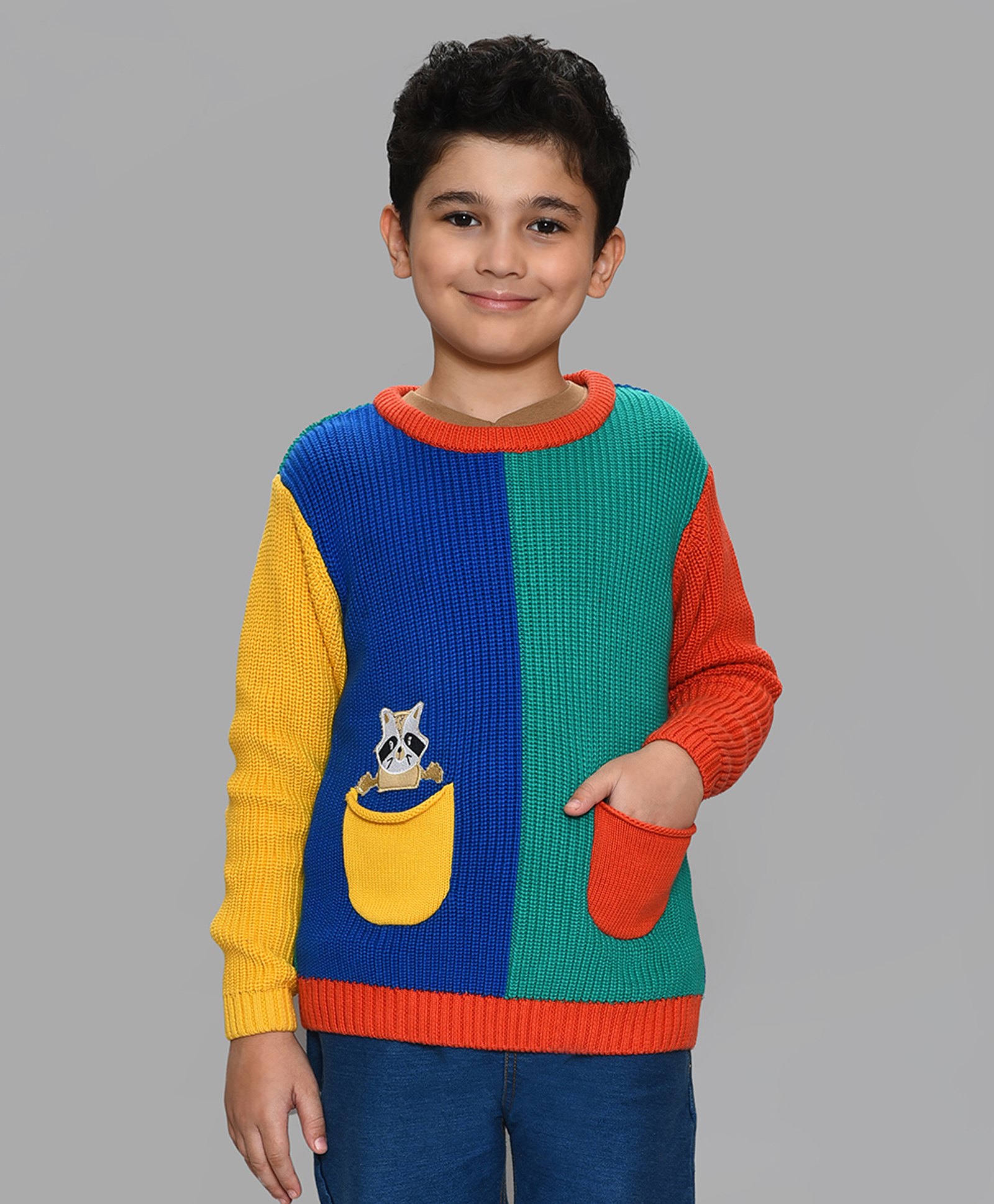 Mi Arcus 100% Cotton Color Blocked Sweater - Multi Color-image-28
