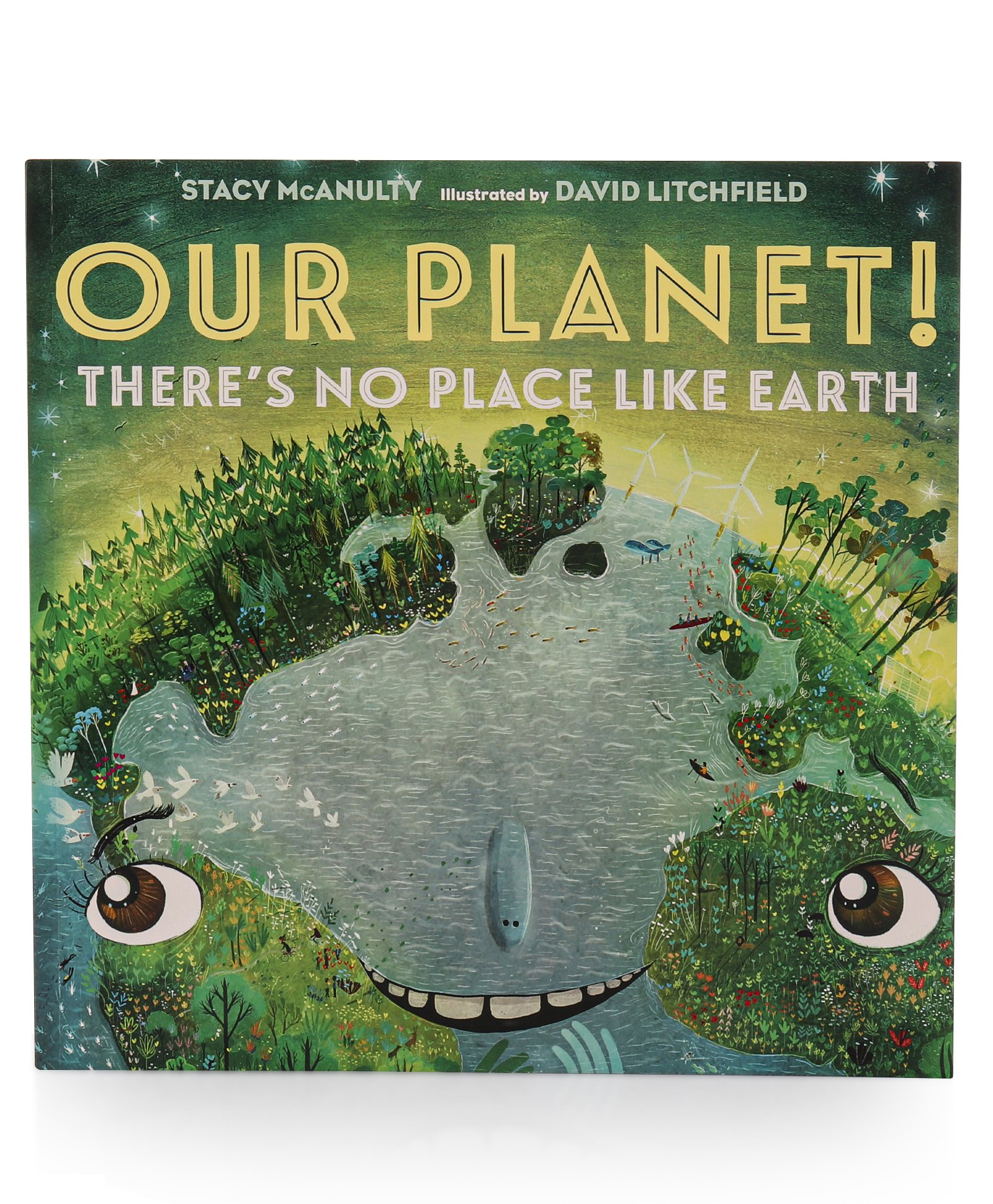 Our Planet! There's No Place Like Earth Book by Stacy McAnulty &  David Litchfield - English-image-47