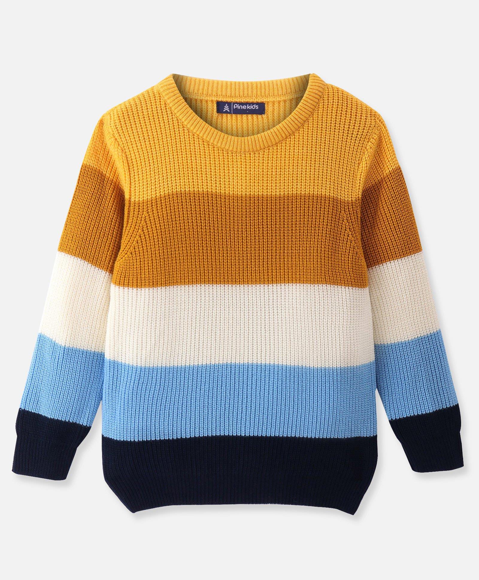 Pine Kids Knitted Full Sleeves Striped Pullover - Multicolor-image-48