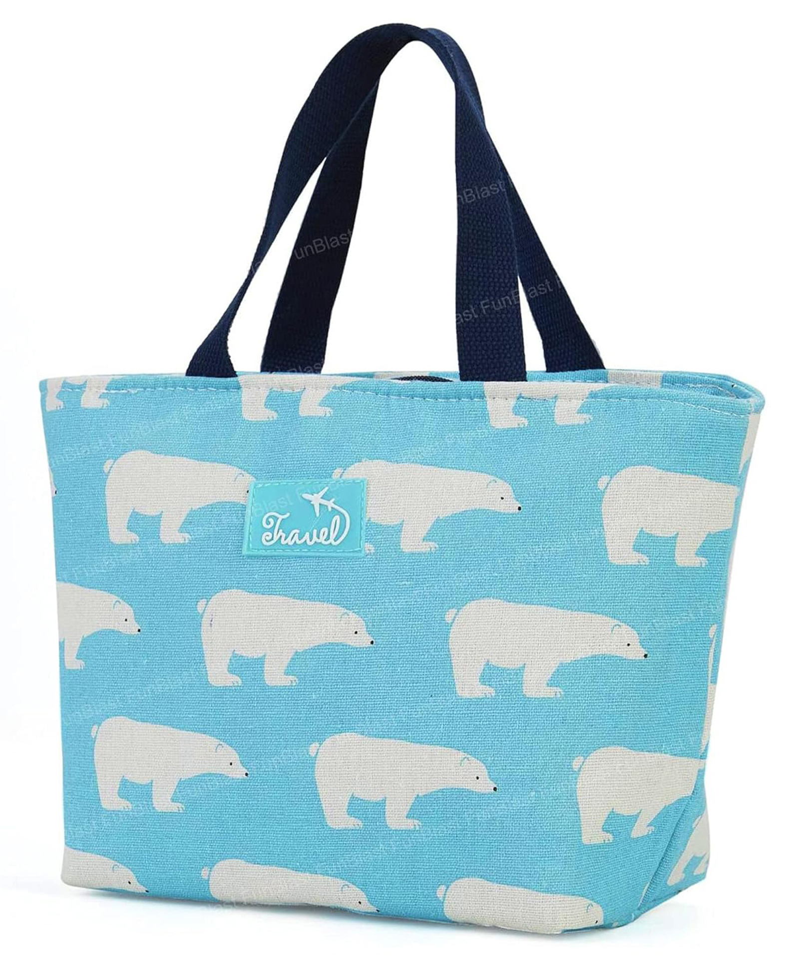 Bunie Multipurpose Insulated Travel Lunch Bag/Hand Bag for Men & Women  Sky Blue-picture-11