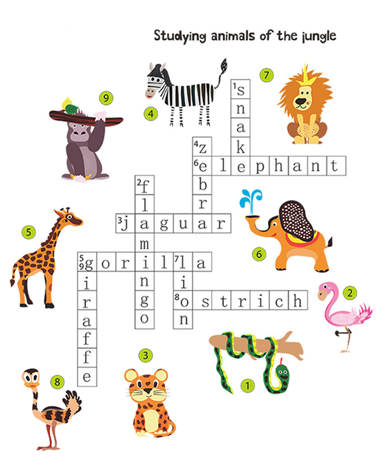 Jaamso Royals Animals With Their Names Self Adhesive Waterproof Wall Sticker-picture-30
