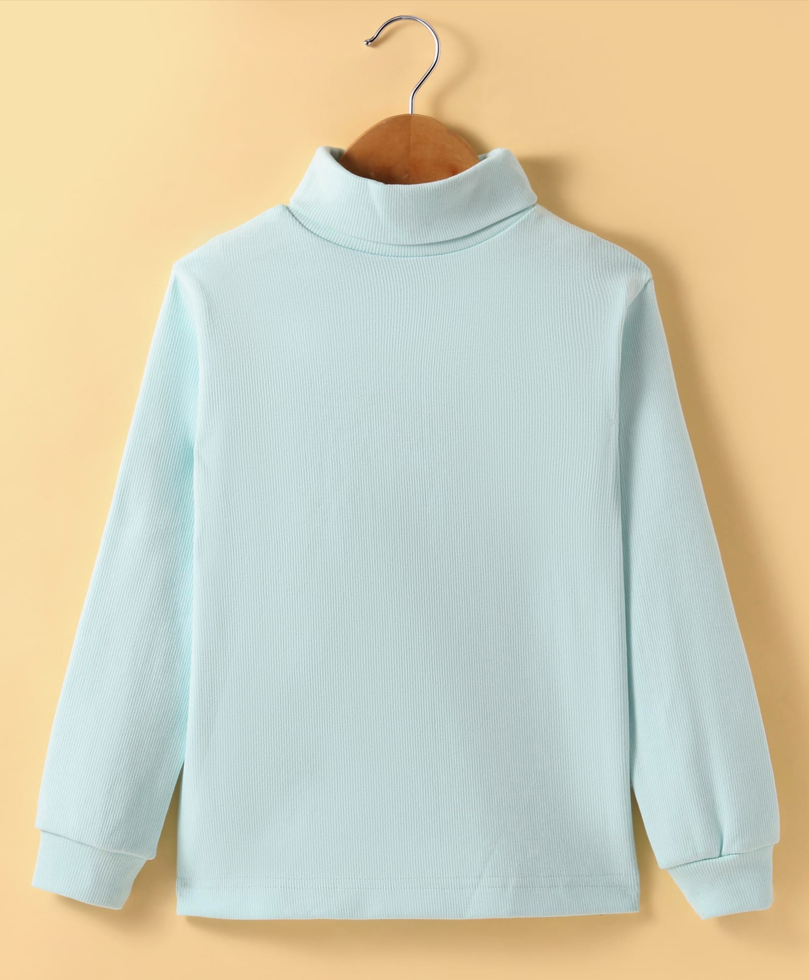 Teddy Cotton Lycra Knit Full Sleeves Solid Colour Turtle Neck T-Shirt - Light Green-image-39