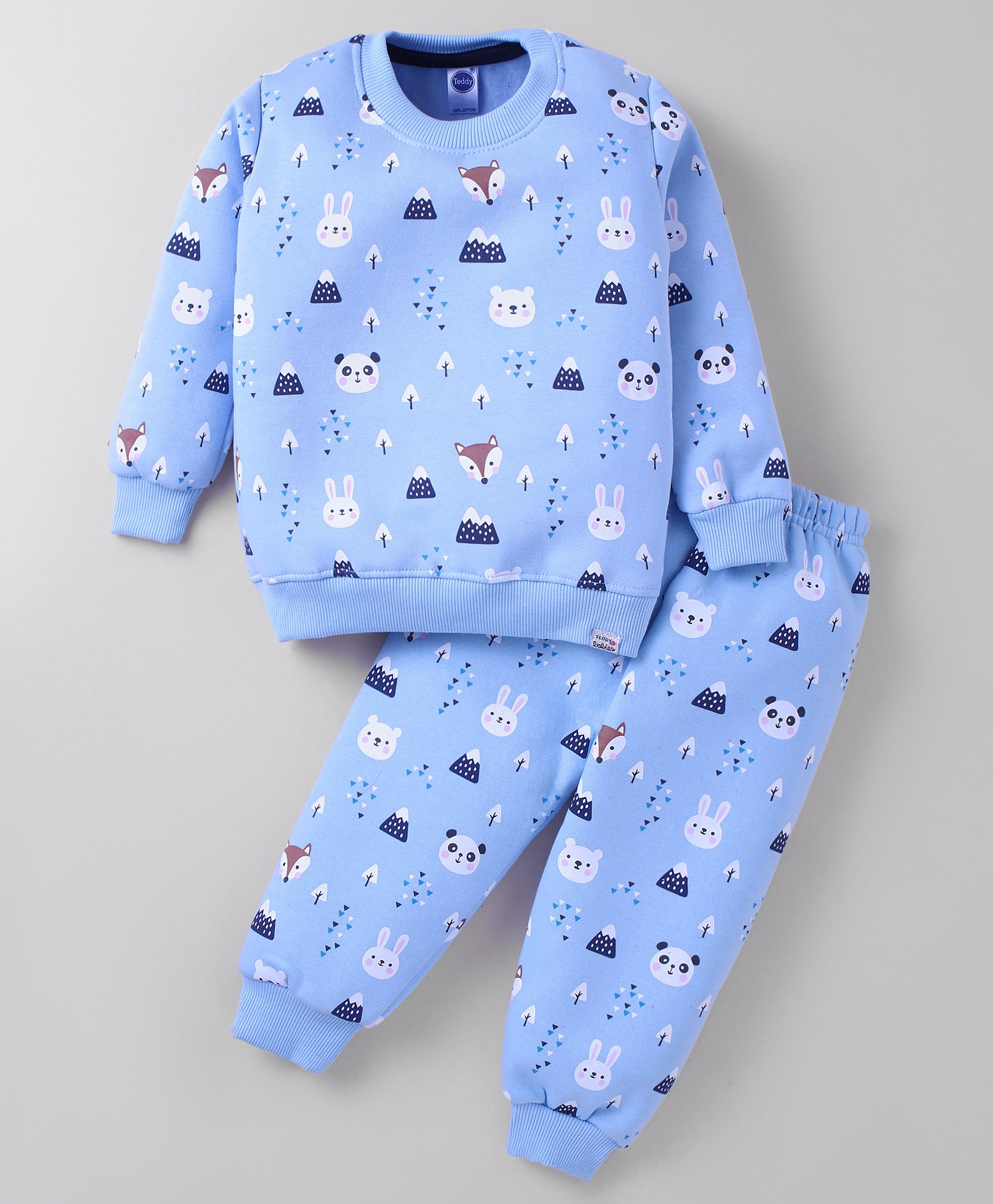 Teddy Fleece Knit Full Sleeves Winter Wear Sweatshirt & Pant Set with Bear Print - Light Blue-picture-35