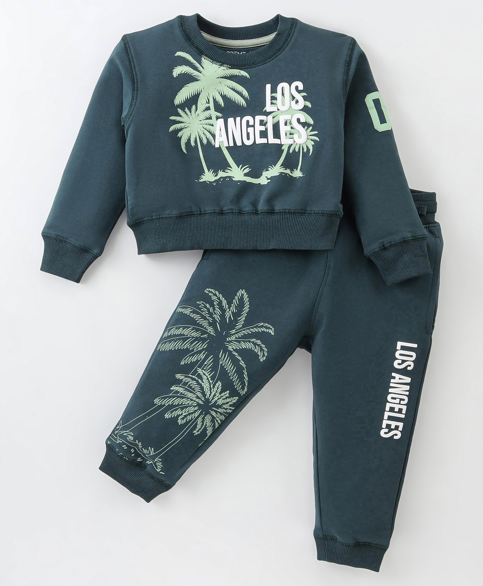 Doreme Terry Knit Full Sleeves Winter Wear Sweatshirt & Joggers Set with Beach Theme Print - Dark Green-picture-13