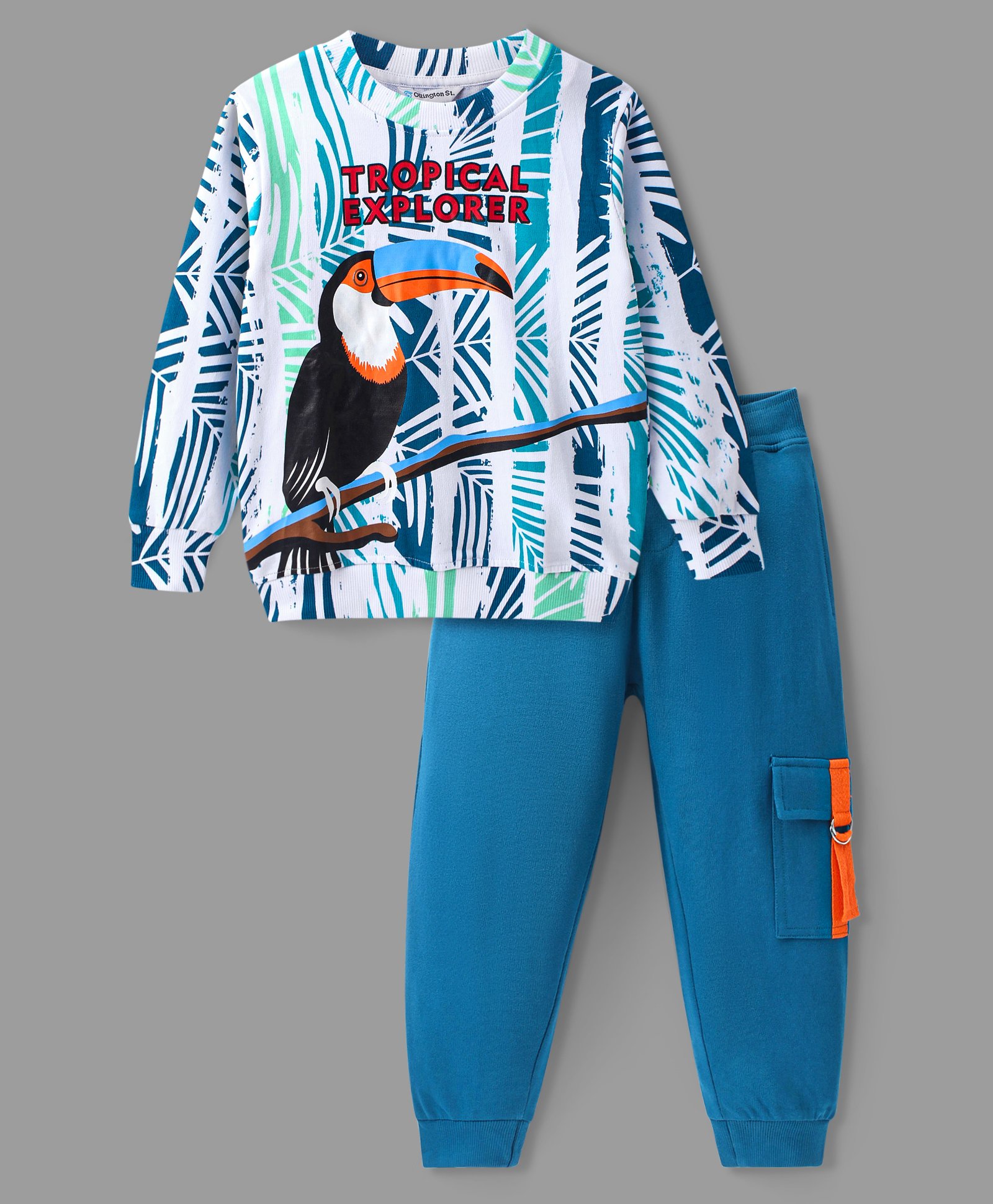 Ollington St. 100% Cotton Knit Full Sleeves Sweatshirt & Joggers Winter Wear Set With Tropical Bird Print - Blue-picture-26