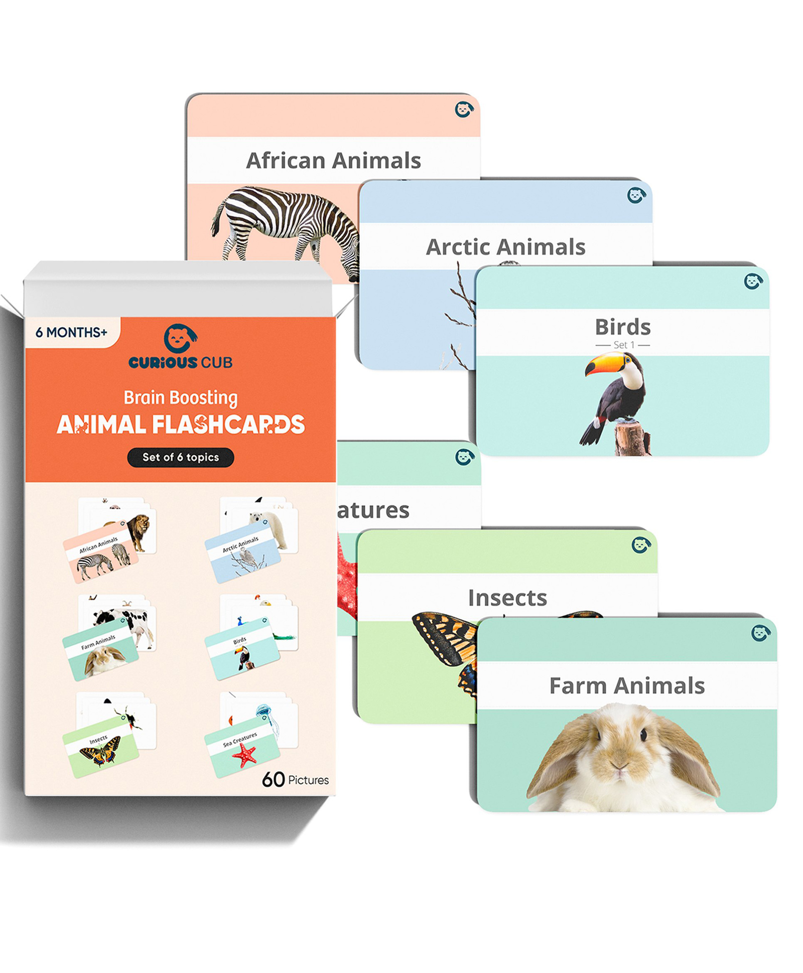Curious Cub Montessori Flash Cards Animal Flash Card-picture-17