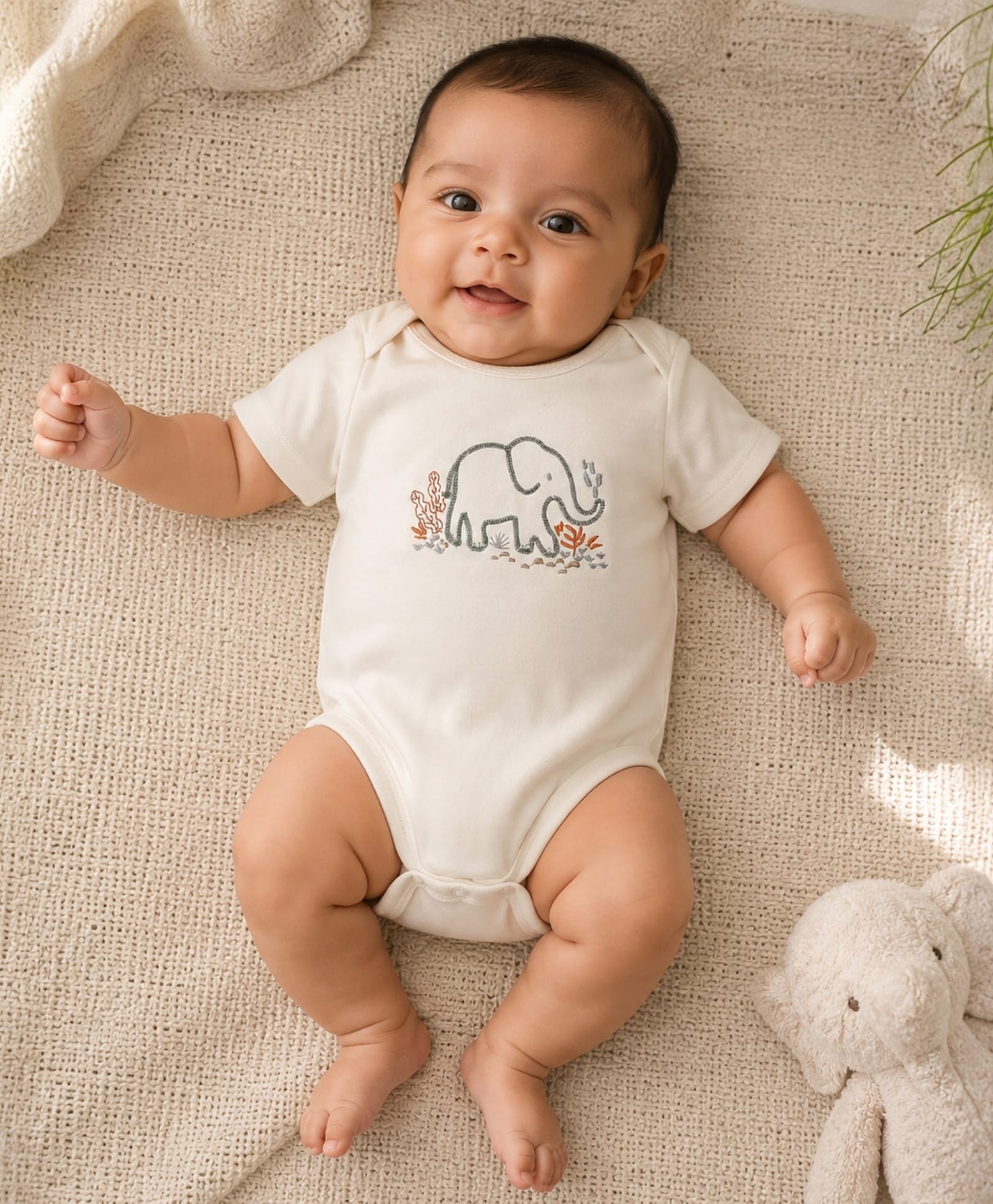 My Milestones 100% Cotton Half Sleeves Elephant Embroidered Onesie - Cream-picture-17