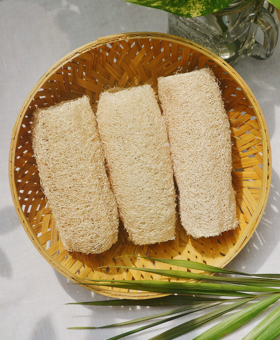 almitra sustainables Loofah SpongeNatural Bathing Scrub (Pack of 3)-picture-23