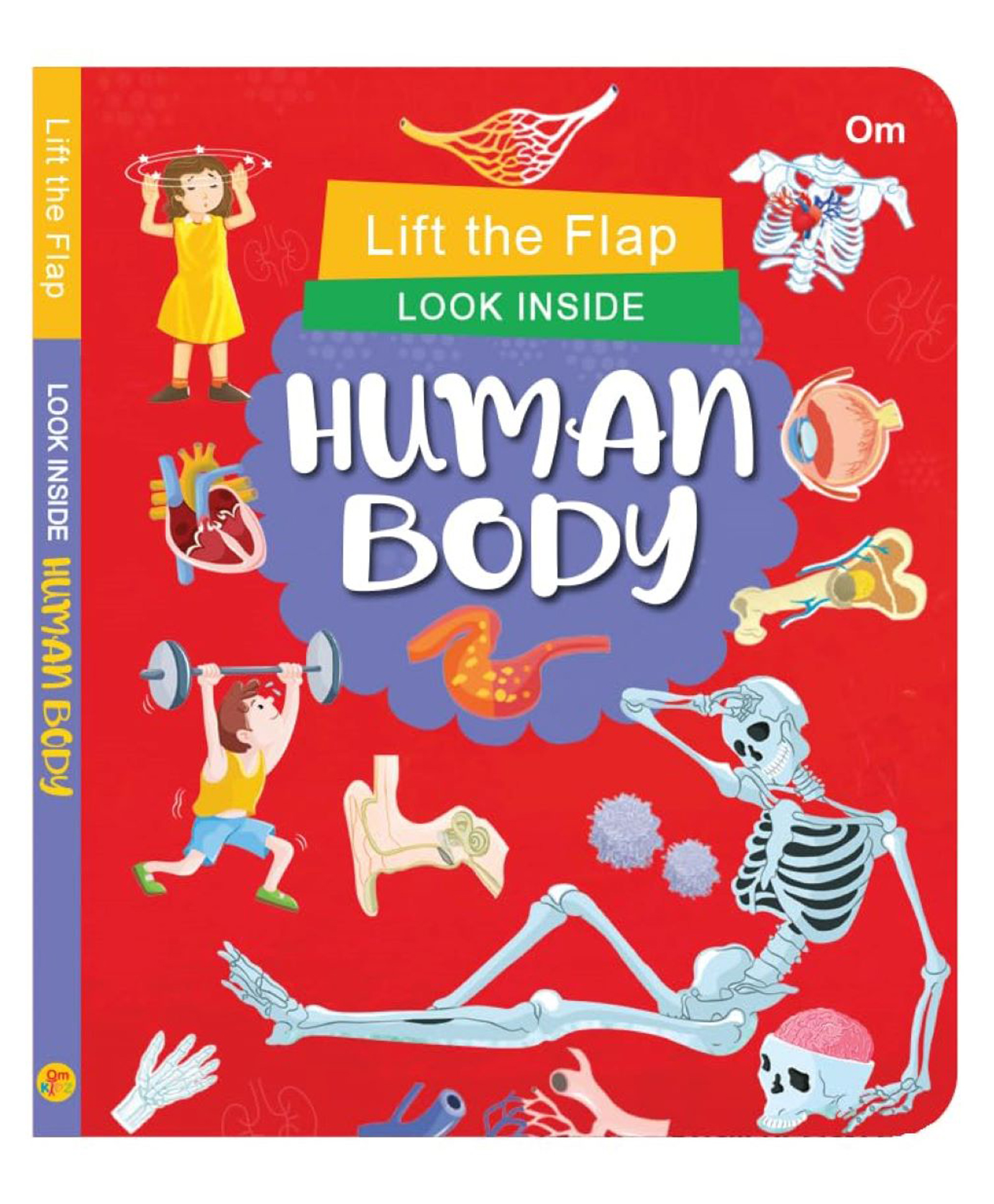 Board Book: Lift the Flap Look Inside Human Body- Activity Book for Children-image-22