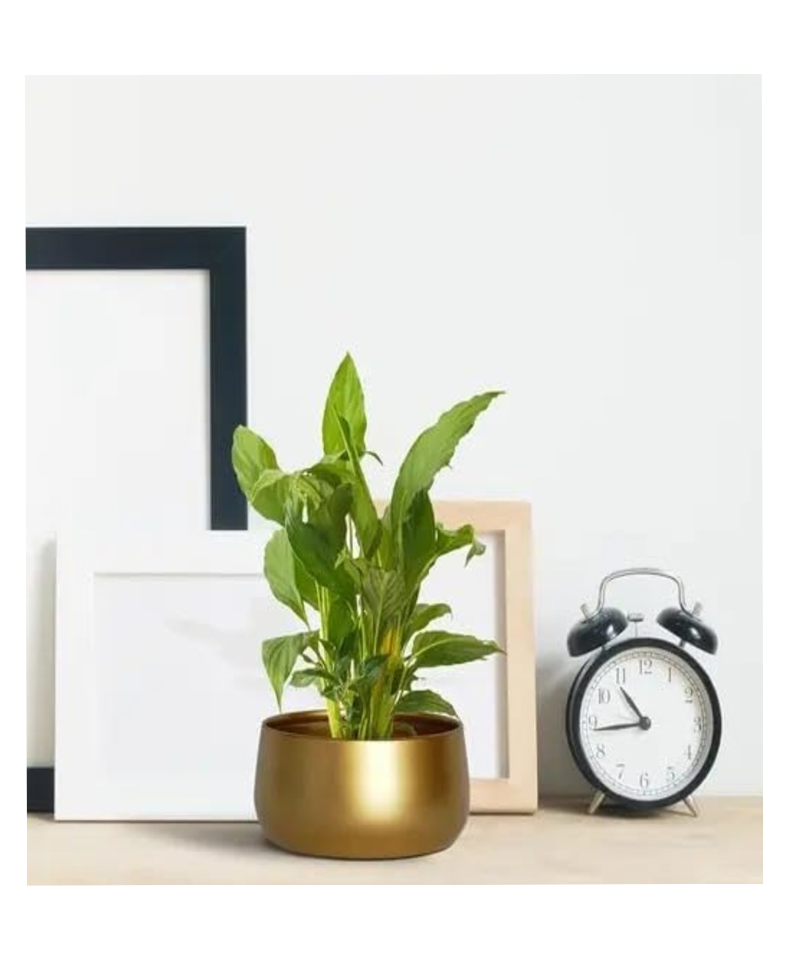 VOIDROP Metal Plant Pots with Drainage Hole, Indoor Planter Flower Pots, Home Garden Décor Planter for Living Room Bedroom Interior, Gold-picture-29