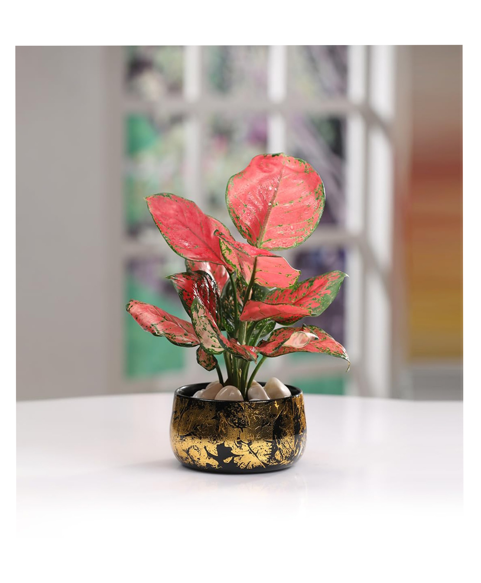 VOIDROP Iron Black and Gold Antique Handi Flower Pot with Drainage Hole Planter for Indoor Plants for Home Décor, Living Room, Kitchen, Bedroom, Table Top, Show Piece, Office, Gifting-image-30