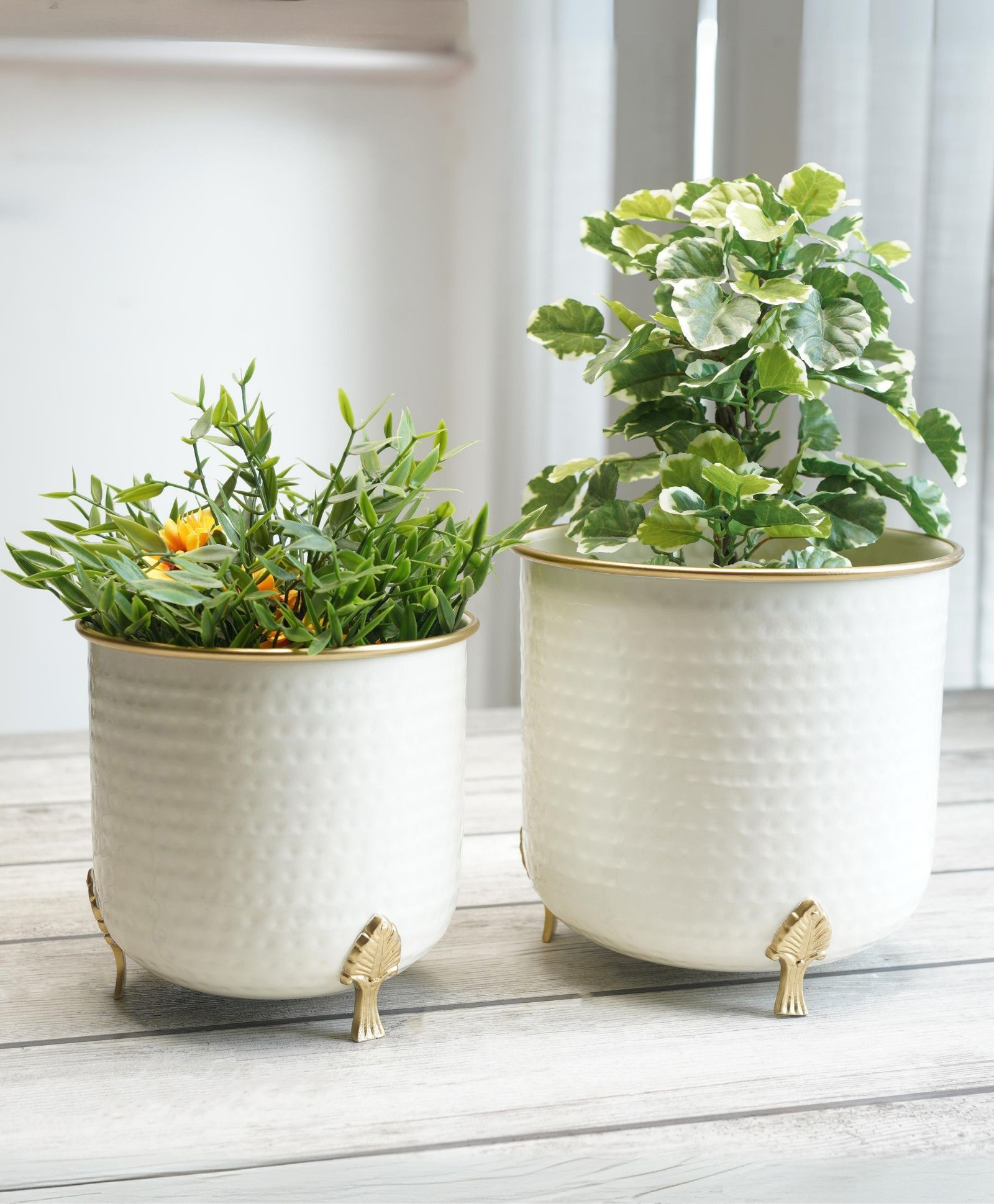 BEHOMA Metal Hammered White Planter with Golden Trim for Home Décor, White, Set of 2 (Plant not Included).-image-34
