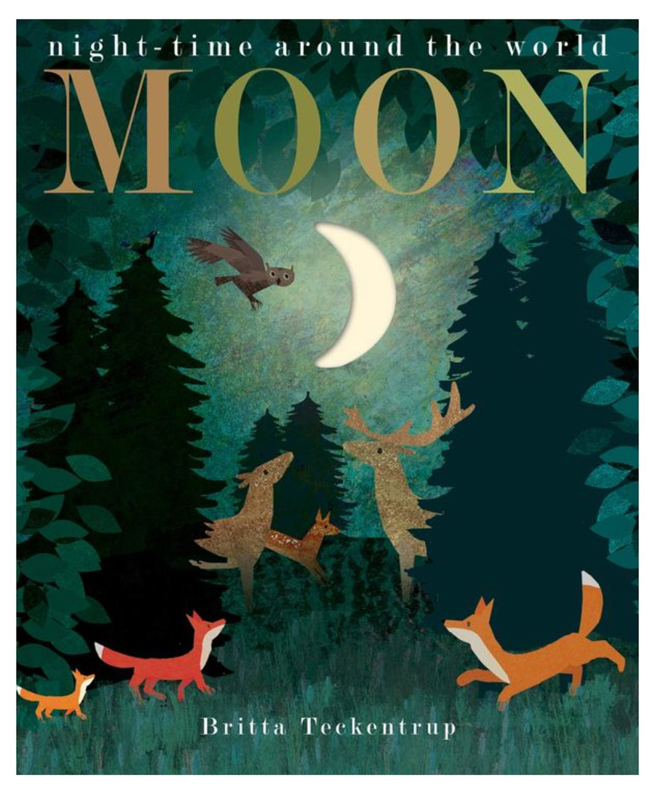 LT: Peek Through: Moon - Night-time around the world-image-37