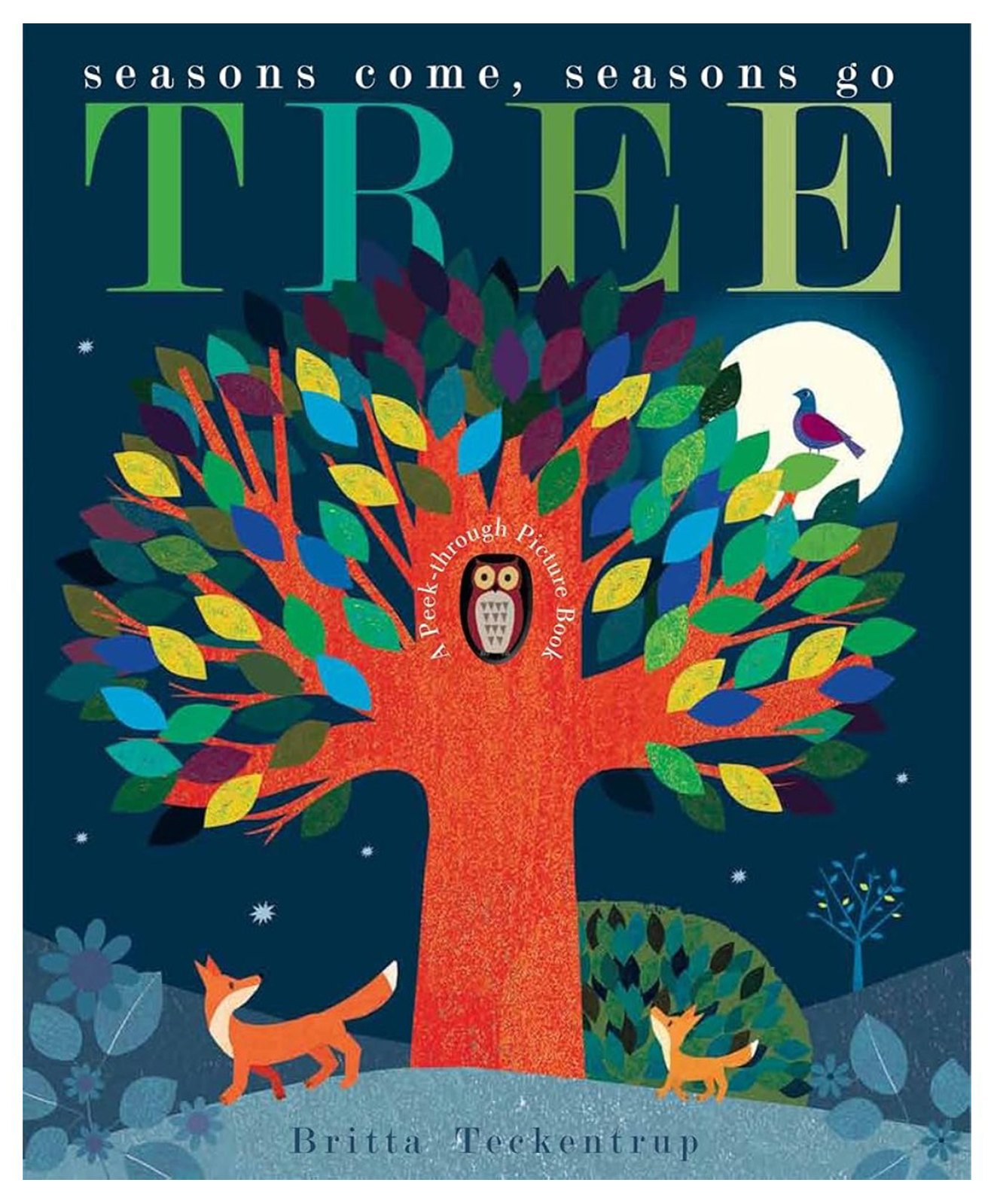 wilco international LT: Peek Through: Tree - Seasons Come Seasons Go-picture-11