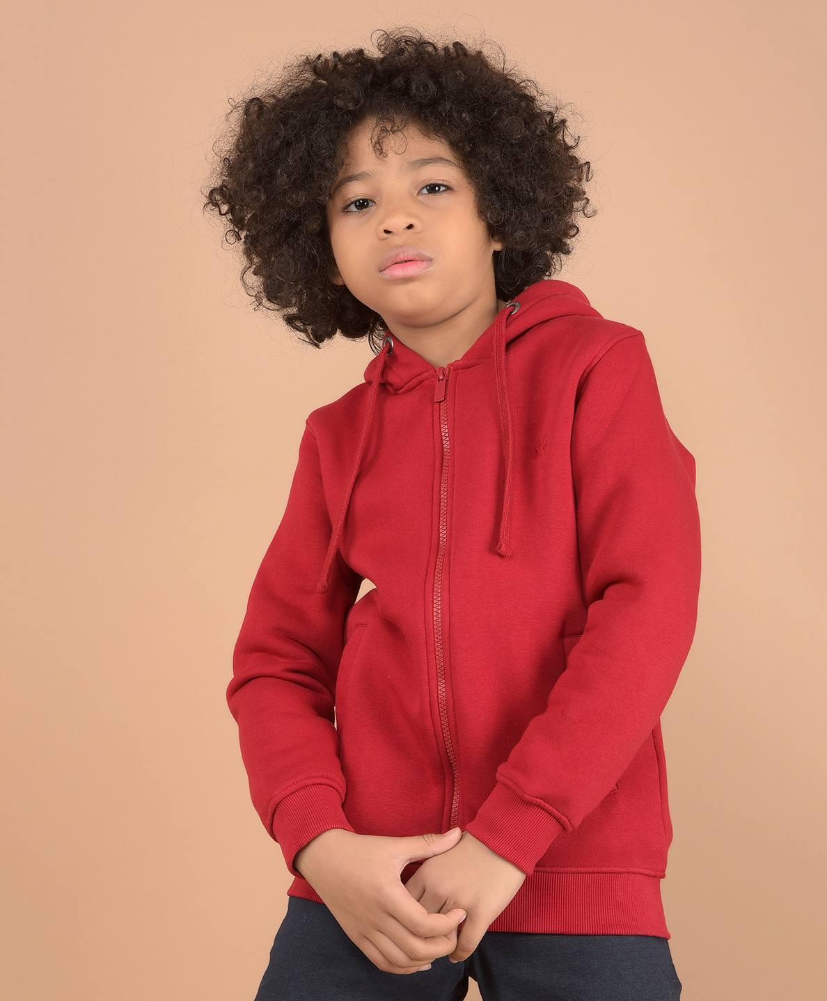 CRIMSOUNE CLUB Cotton Full Sleeves Solid Hooded Sweatshirt - Maroon-picture-13