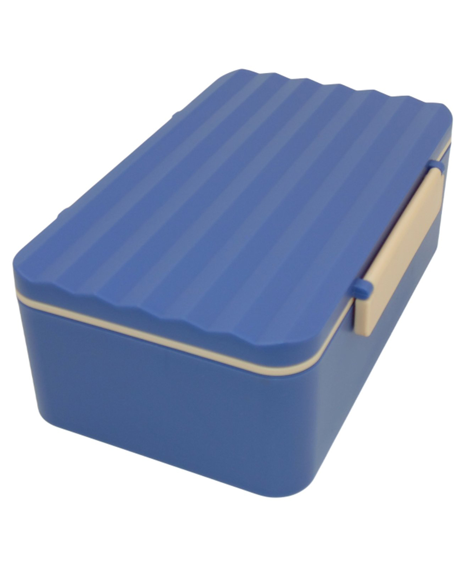 Sanjary Bright & Classic Lunch Box for Kids and Adult 900ml Capacity Color Design May Vary-image-46
