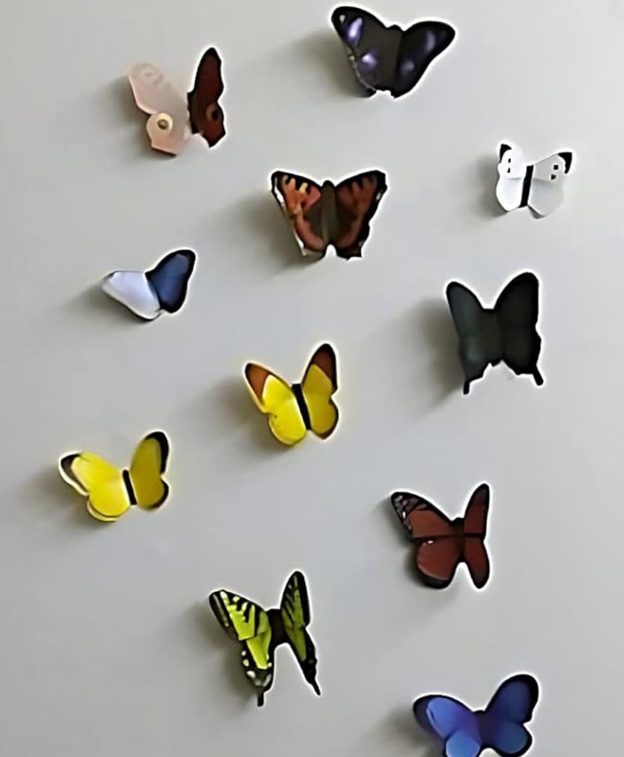 JAAMSO ROYALS Multi 3D Butterflies' 19 Pieces Butterfly Sticker Sheet 29.7 cm-image-25