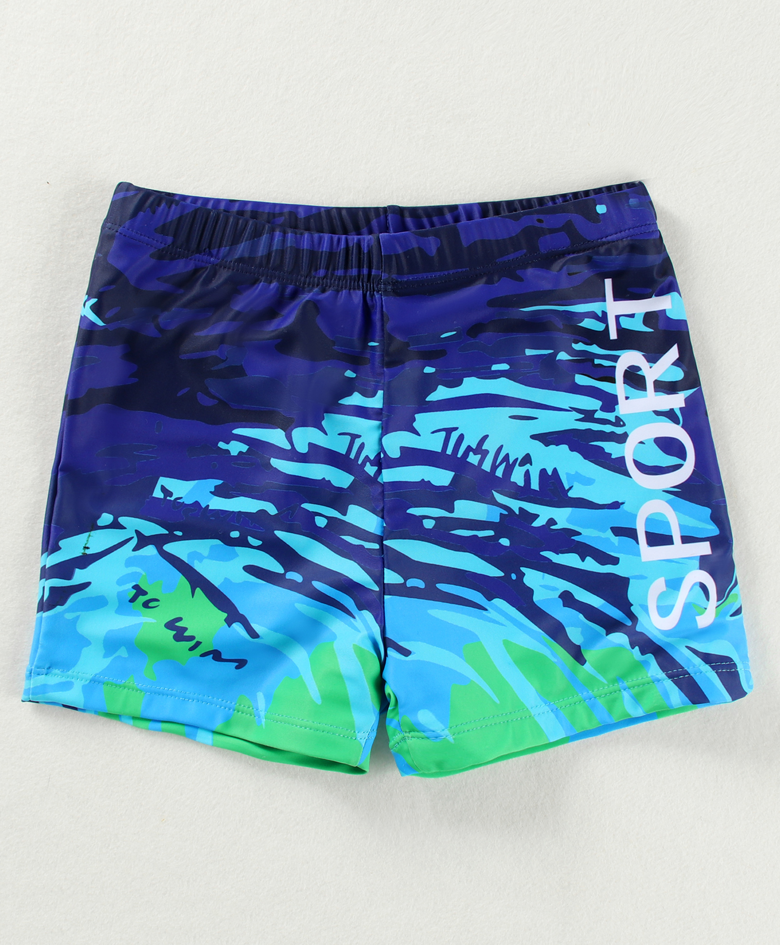 Pine Active Swimming Trunks with Text Print - Light & Navy Blue-image-6