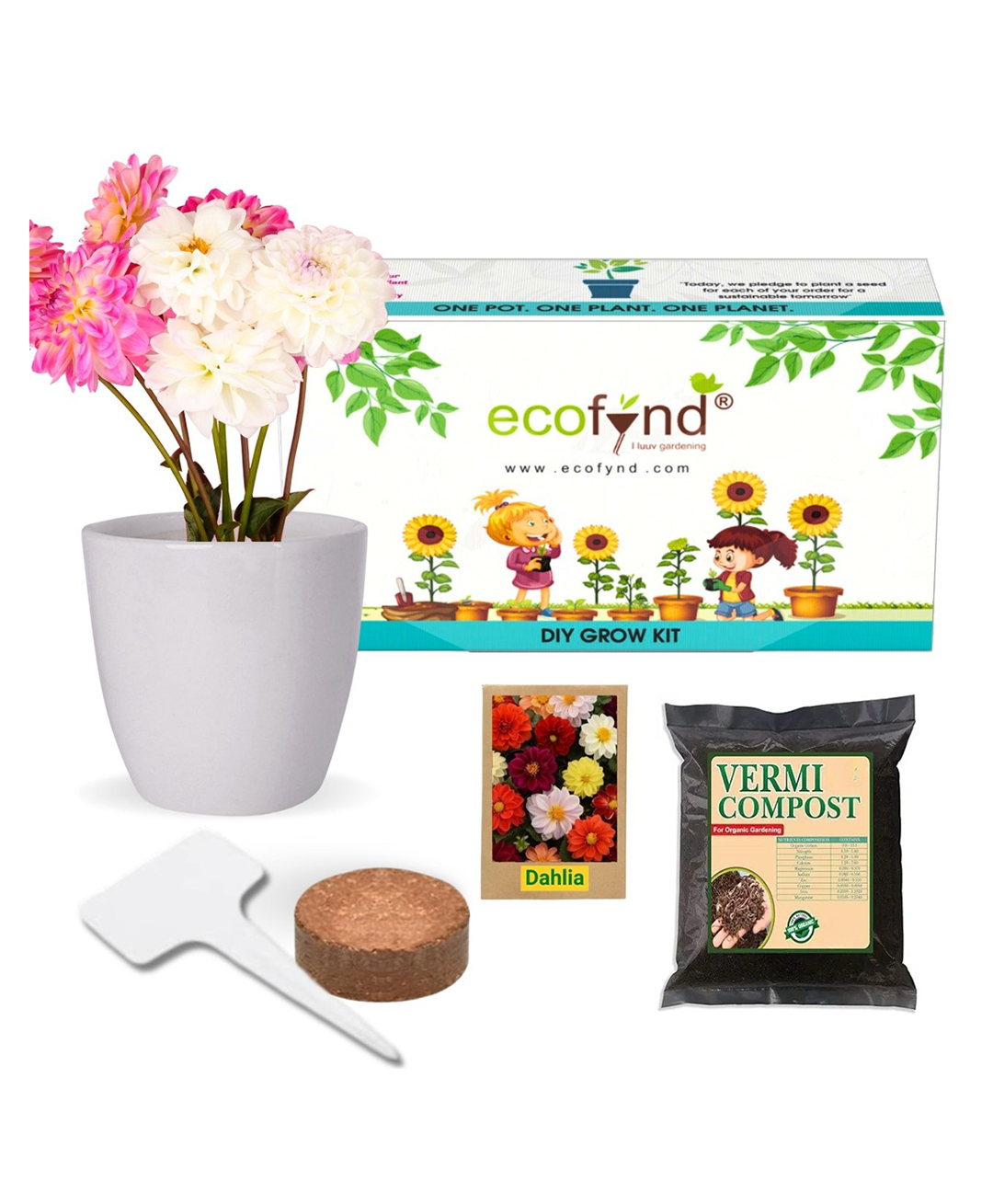 ecofynd Grow Kit of Dahlia Flower || DIY Easy Grow it Yourself Gardening Kit for Home and Garden-picture-20