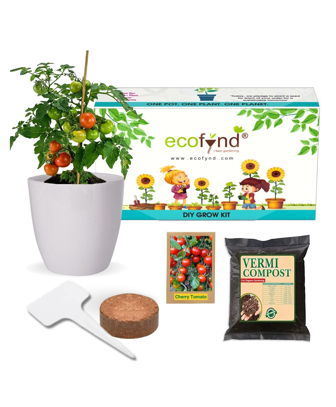 ecofynd DIY Grow Kit for Cherry Tomato || DIY Easy Grow it Yourself Gardening Kit for Home and Garden-image-31